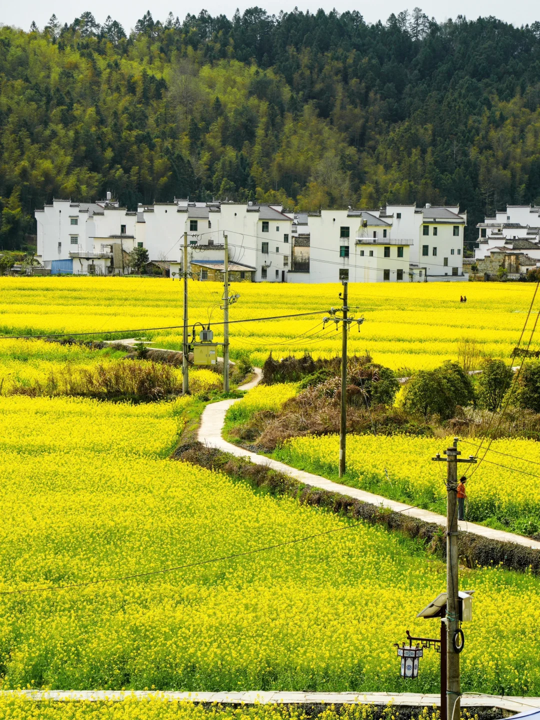 以为黄山够美了❗直到我去了这里……