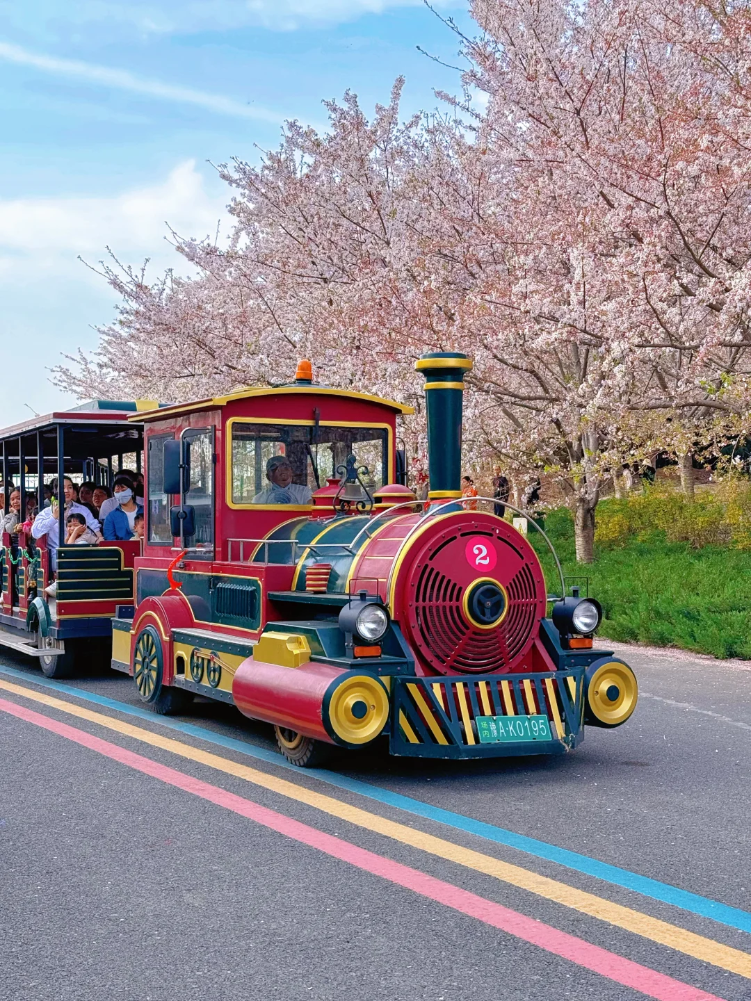 接下来的郑州将是一片樱花海🌸