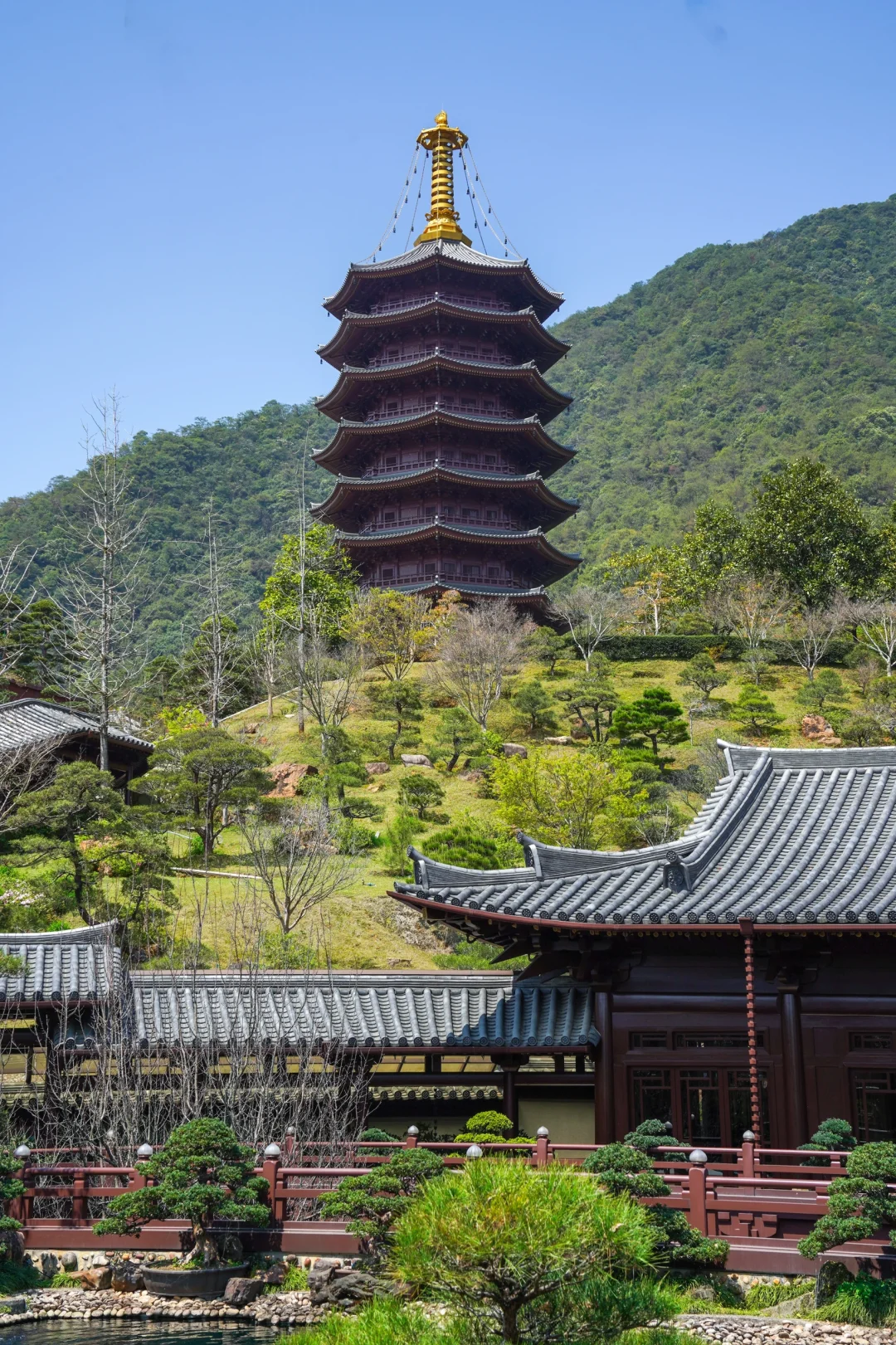 刚从韶关云门山⛰️回来，听听我的真实感受❗️