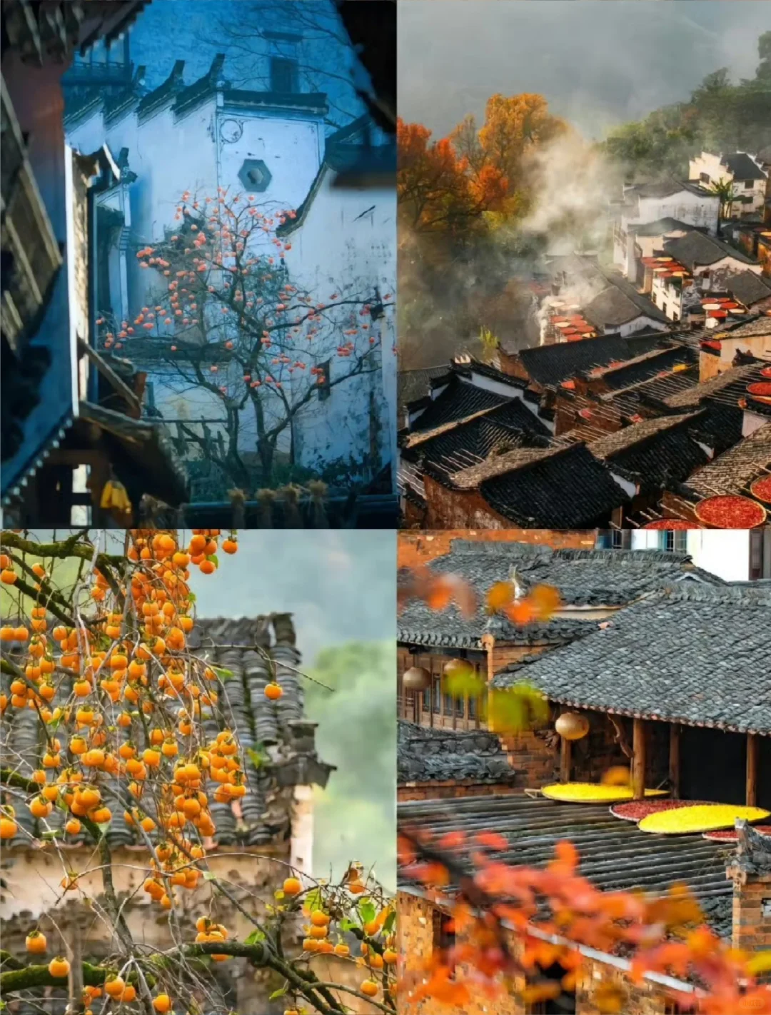 打工人清明就去这个宝藏旅行地