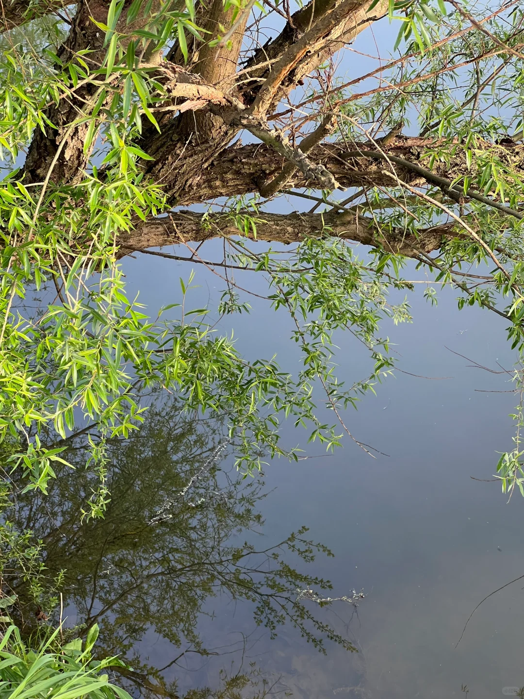 藏于山水之间的静谧古村 🍃河南版小江南