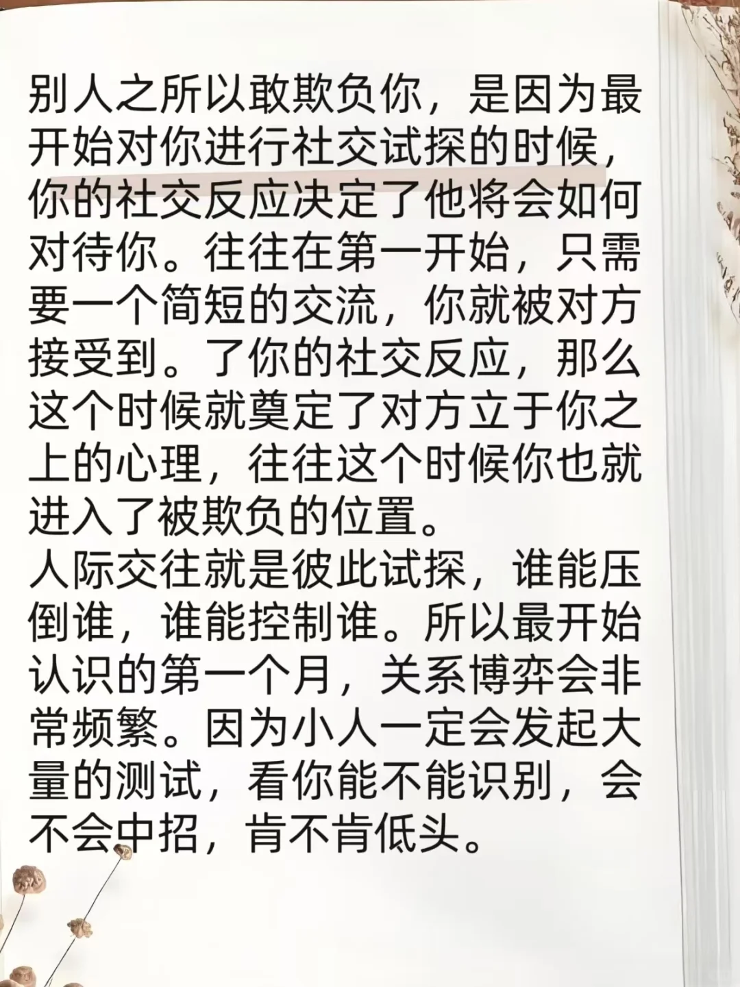 原来社交能力是这样学来的