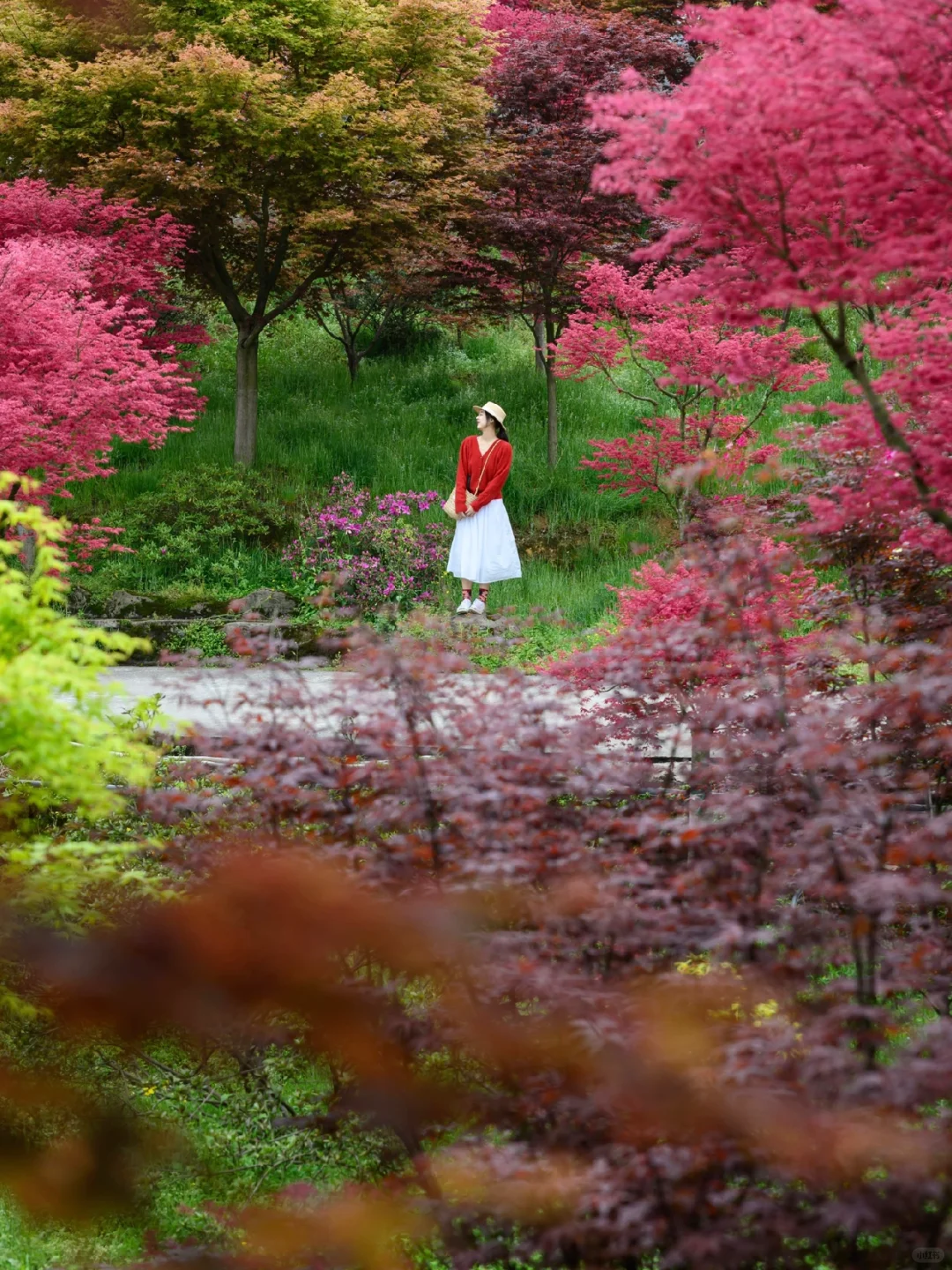 重庆，强烈推荐这个小众地方！油画彩林美绝了