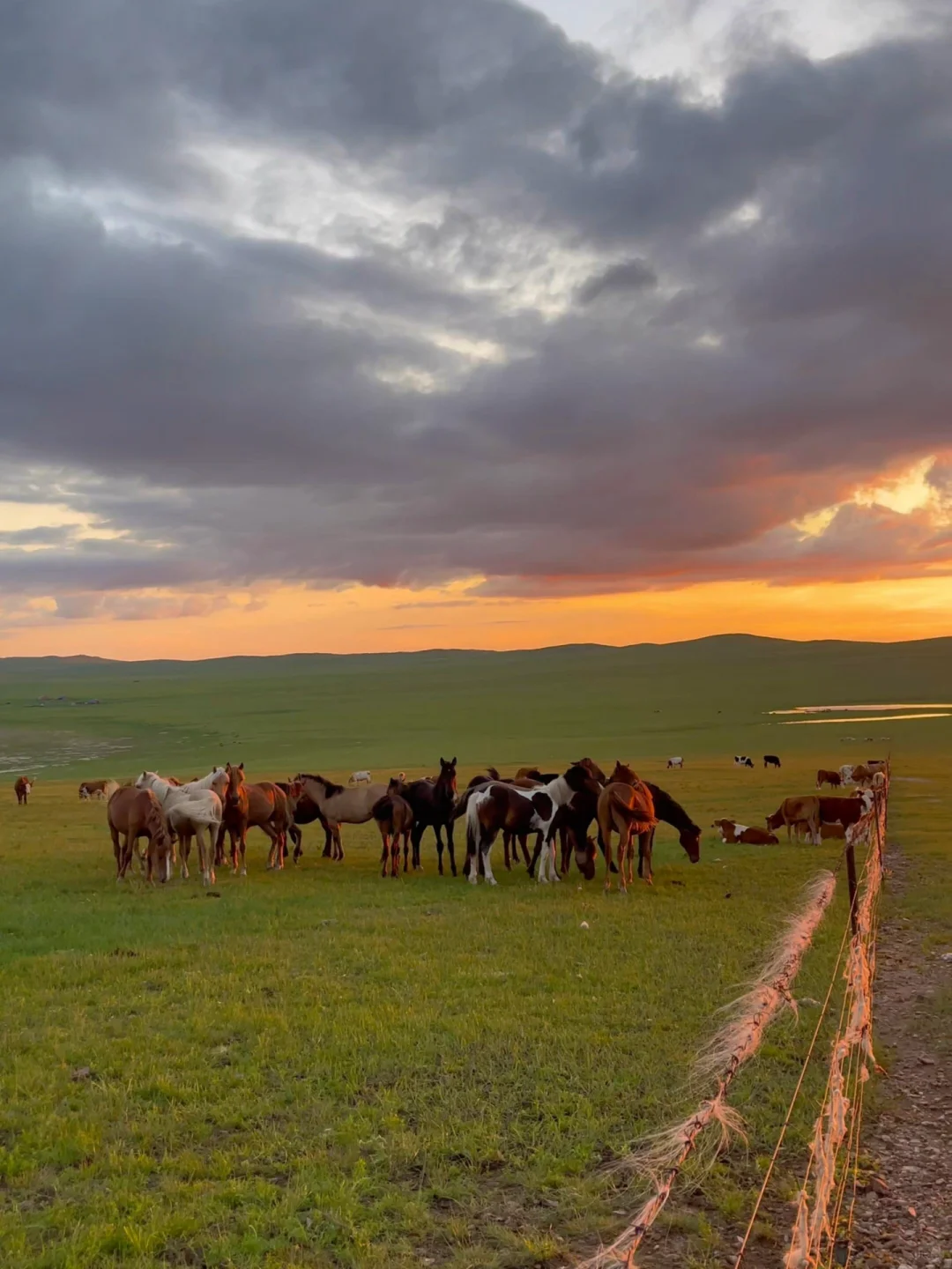 五一反向旅游！想安利1W次被低估的宝藏秘境