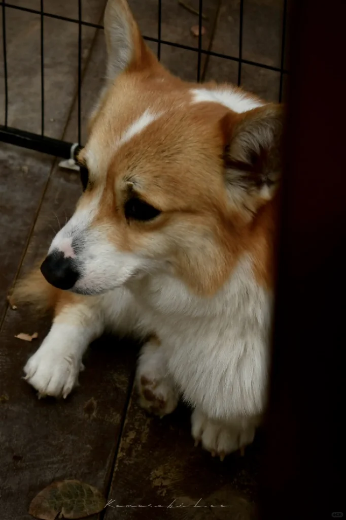 00后毕业在景区工作是什么体验