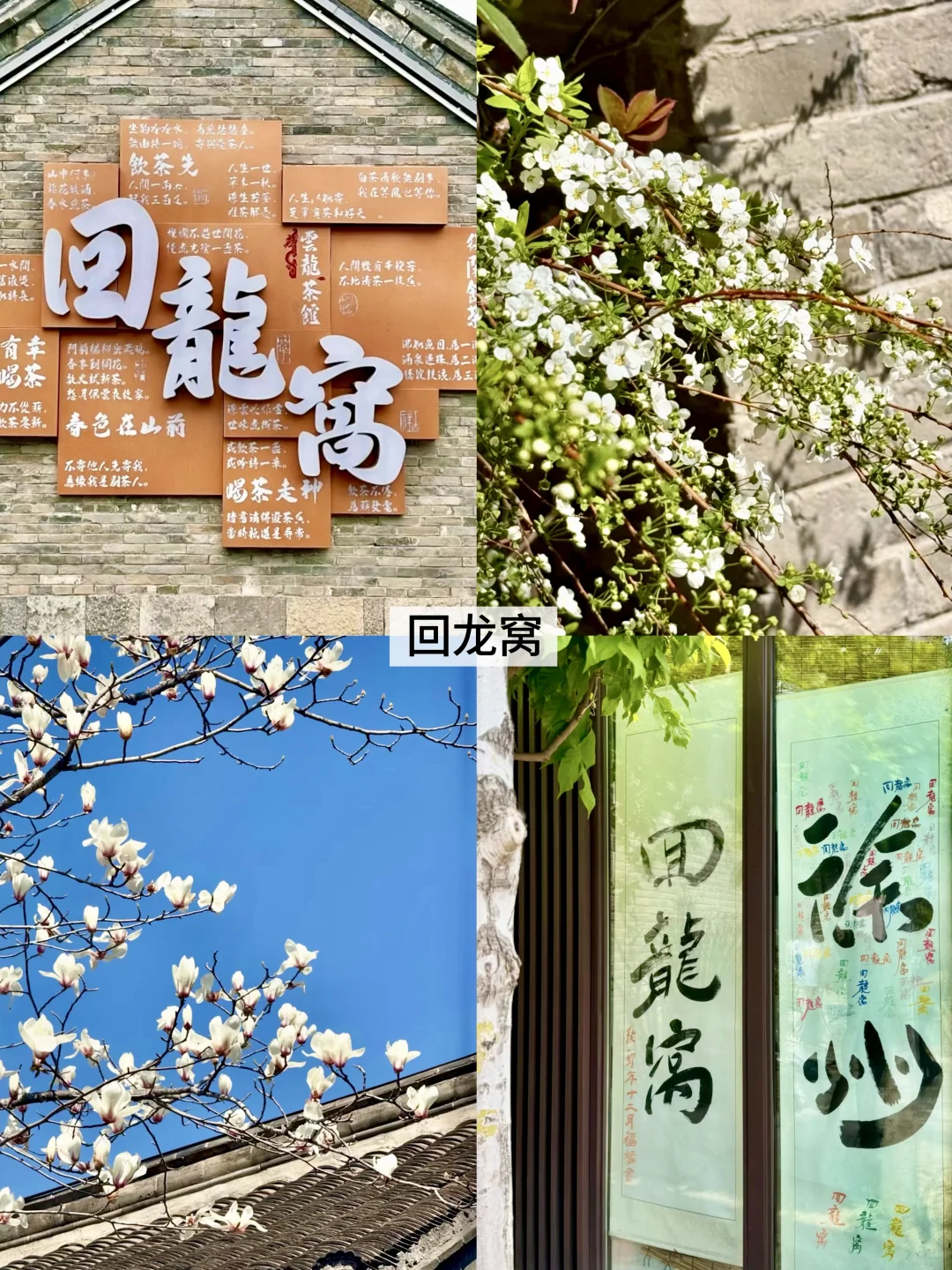 徐州春日好去处|💐9个景点-内附详细攻略💐