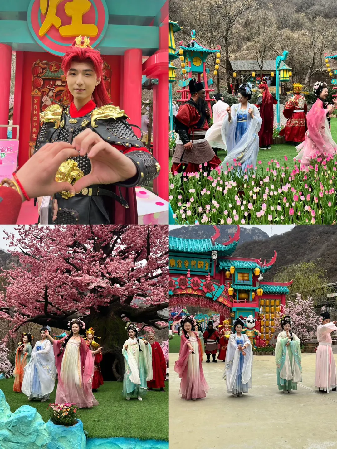 谁懂！河南宝泉藏着春日限定郁金香花海🌷