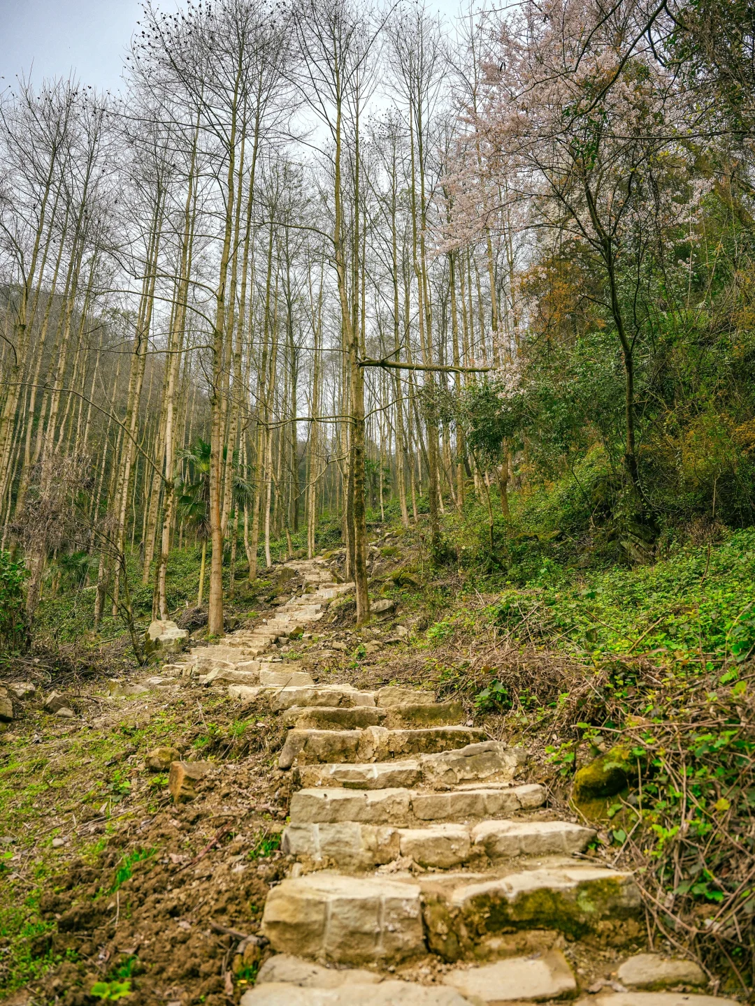 在成都周边！！我唯一想去无数次的徒步路线！！