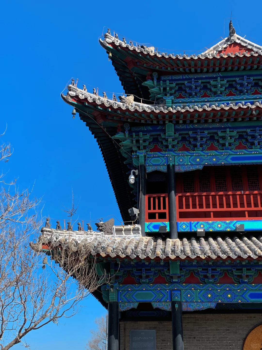 03大三|蓬莱阁游览路线规划💕