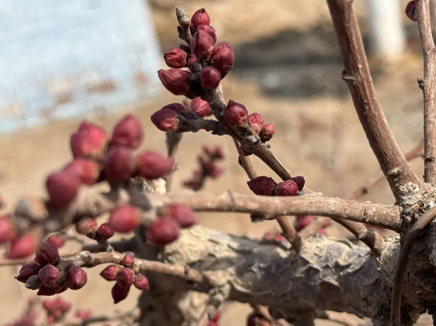 肉孜节|2️⃣个短途亲子出游小众地➡️线路