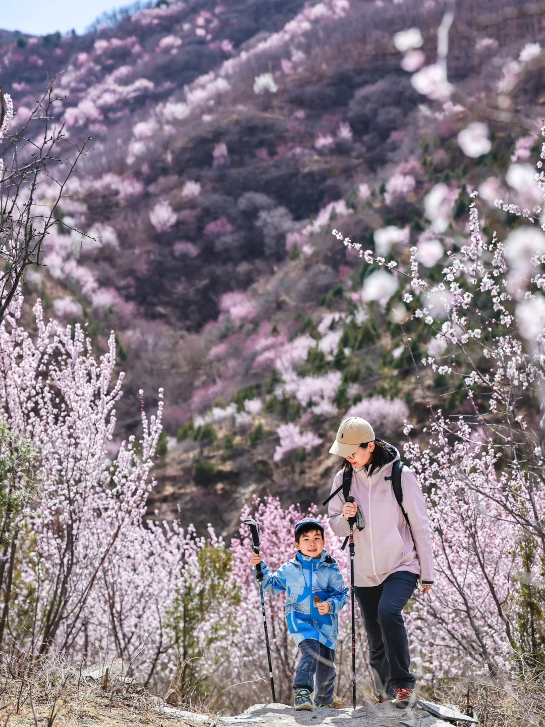 3.20❗️北京蕞适宜全家小众赏花路线宠物友好