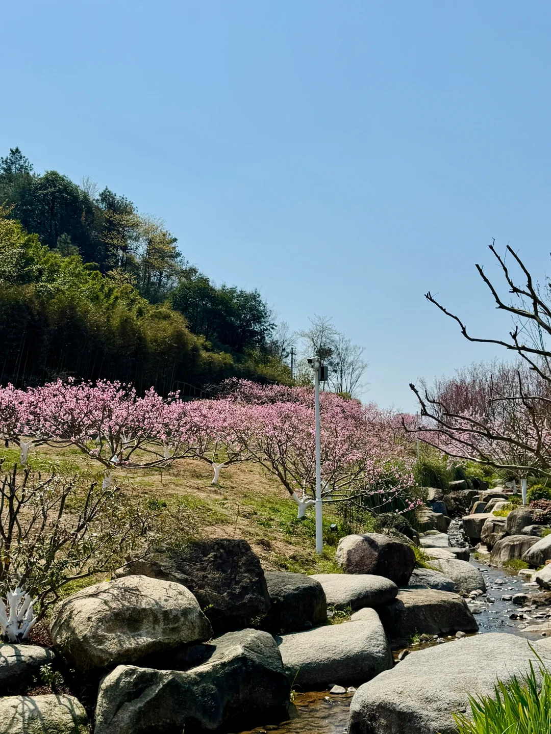 绍兴遛娃好去处(4)|玩不够的一站式躺平遛娃