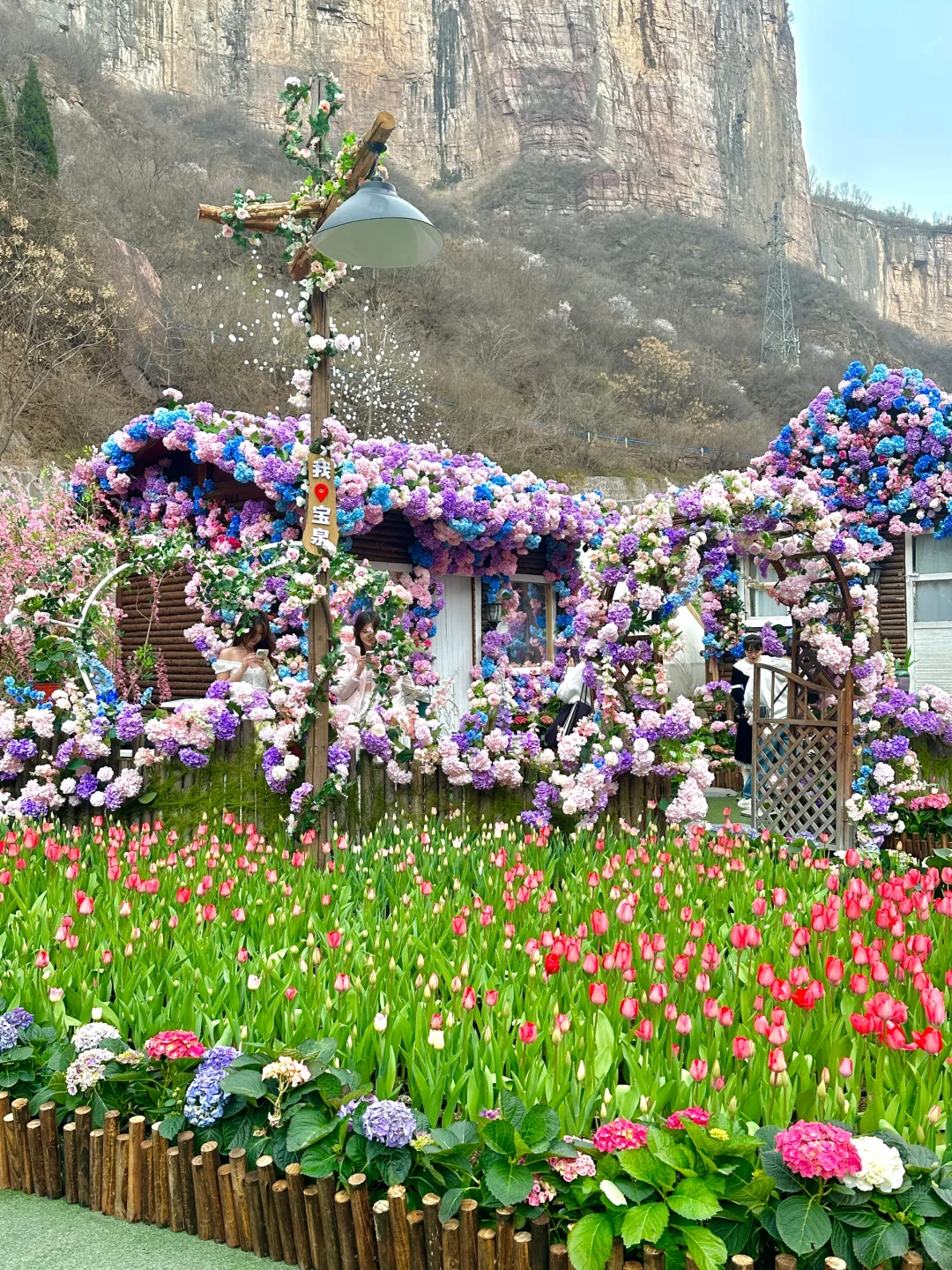 🌷在莫奈花园里