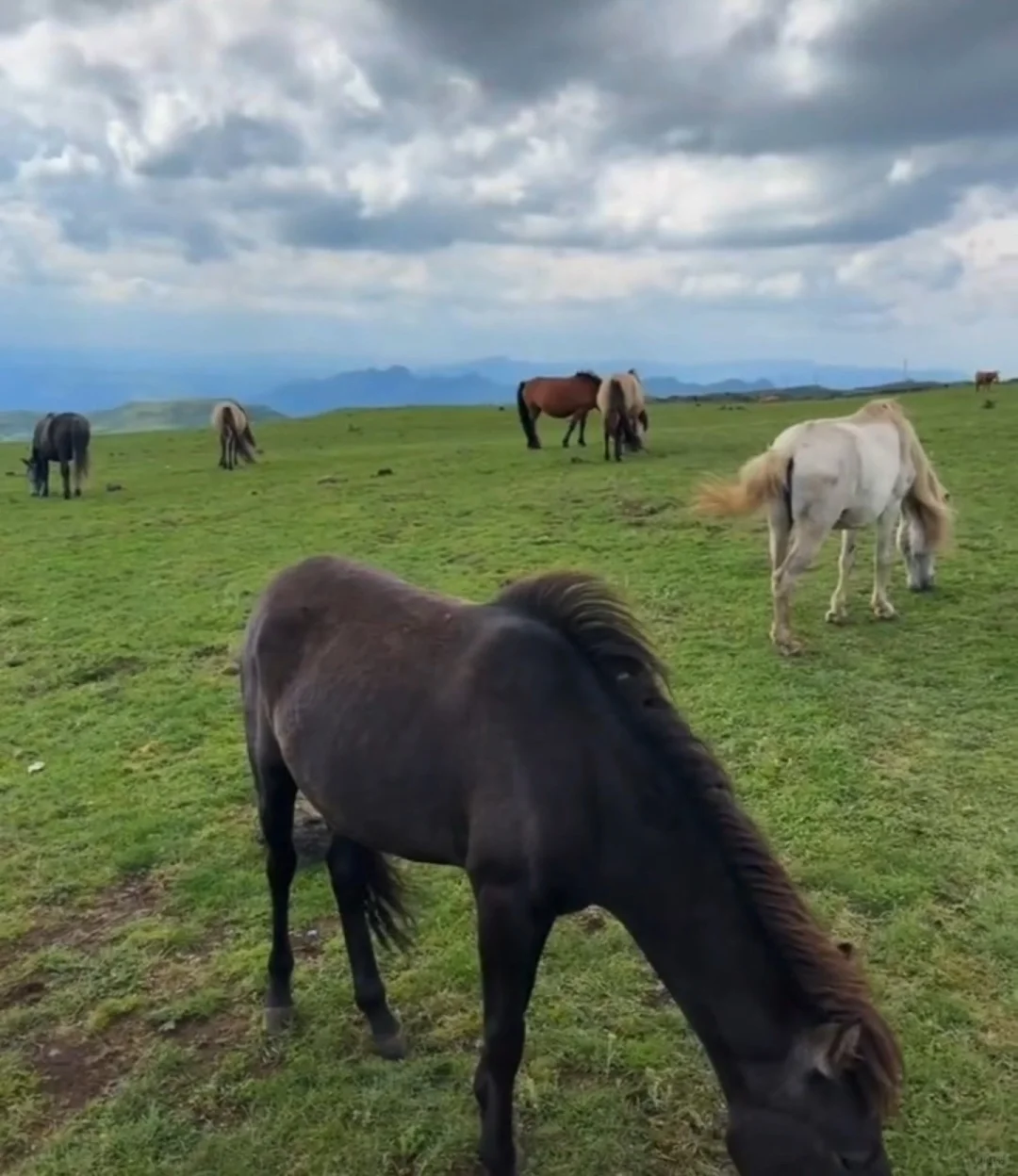 自驾｜达达线｜热阿线 真的非常值得去！！！