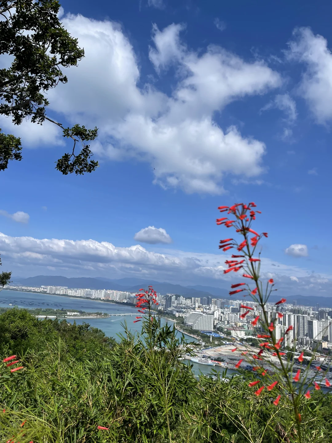 在三亚鹿回头，换一个角度看大海～