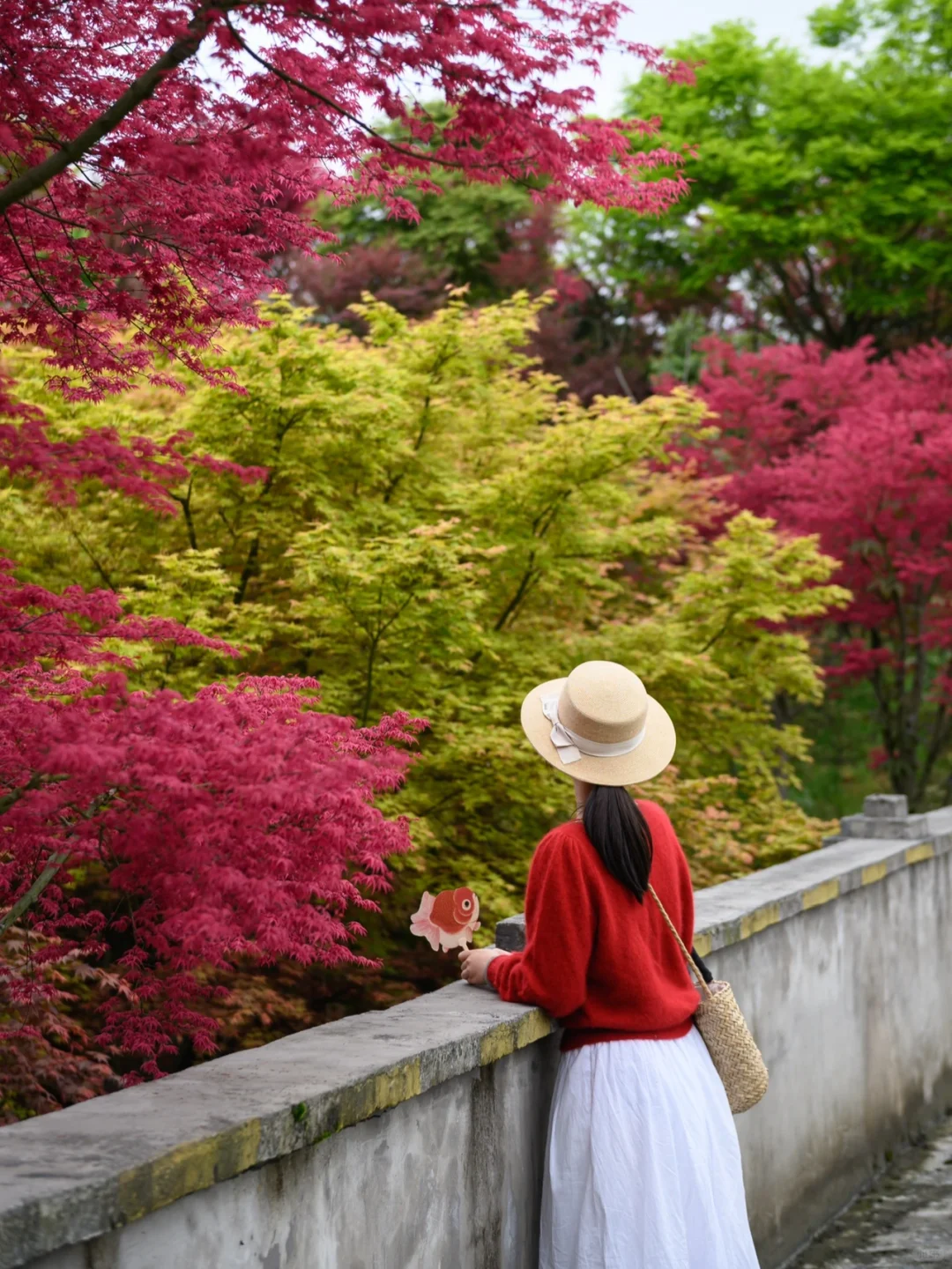 重庆，强烈推荐这个小众地方！油画彩林美绝了