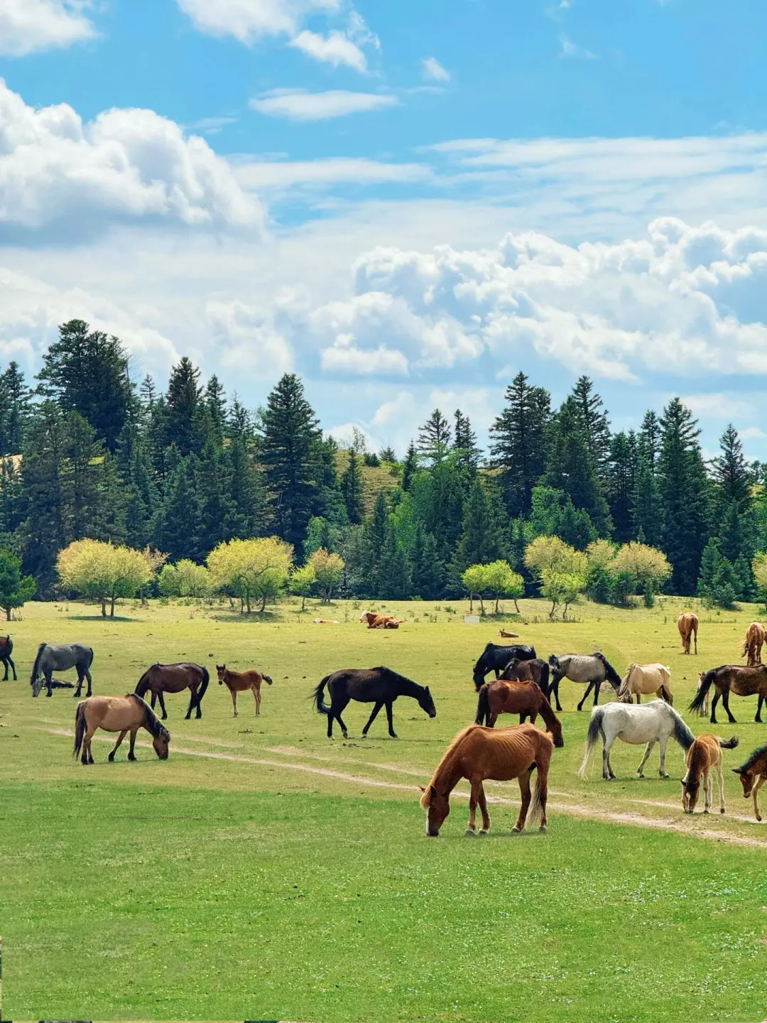 五一反向旅游！想安利1W次被低估的宝藏秘境