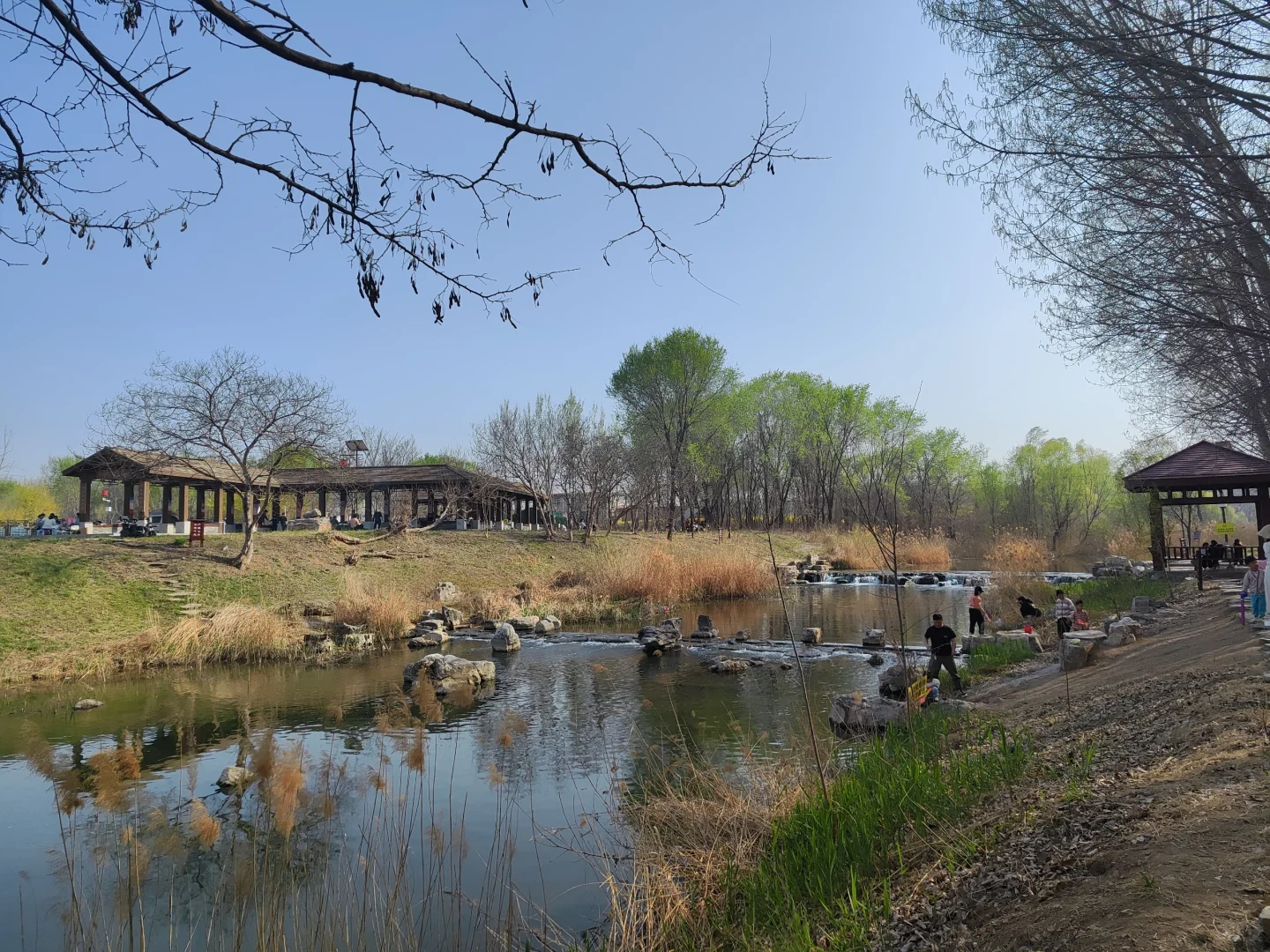 ✨邯郸👣免费露营遛娃的好地方