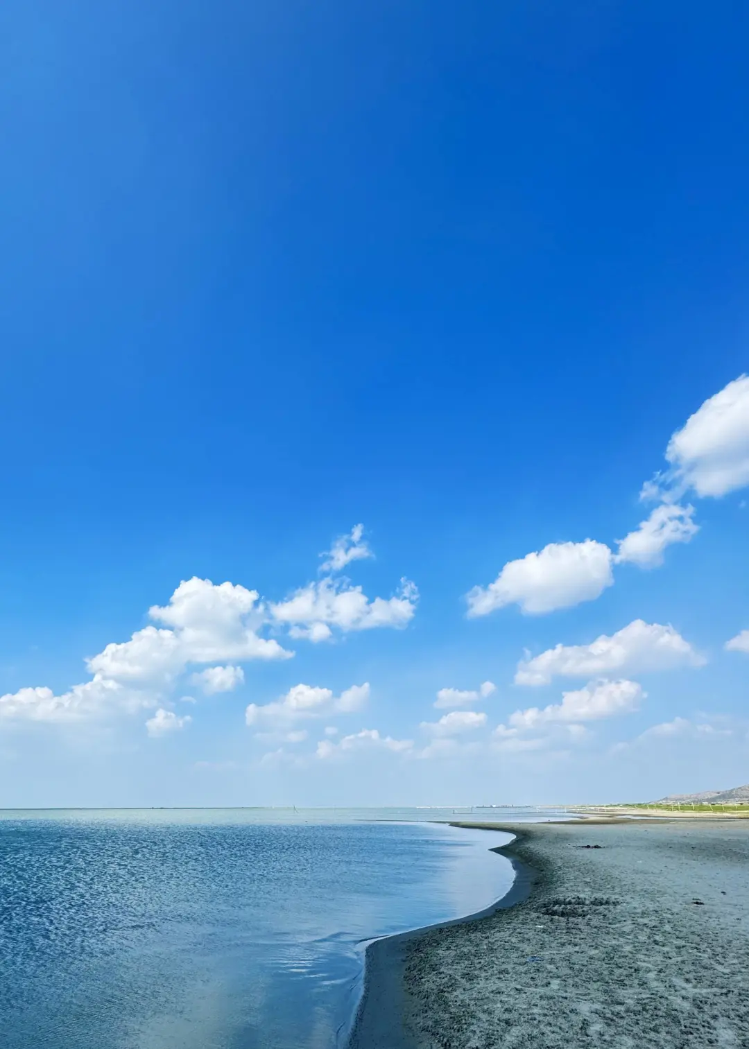 内蒙古的夏天，是一场盛大的浪漫🌷