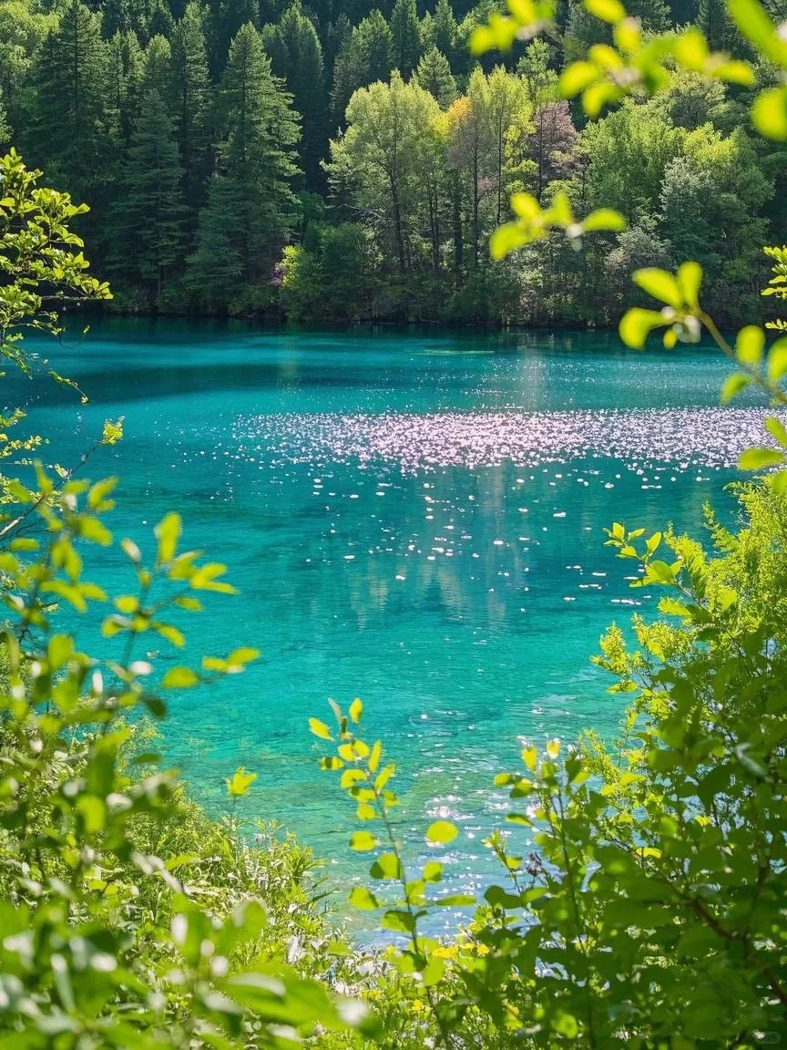 别再说九寨沟只有秋天美❗️春天才是宝藏