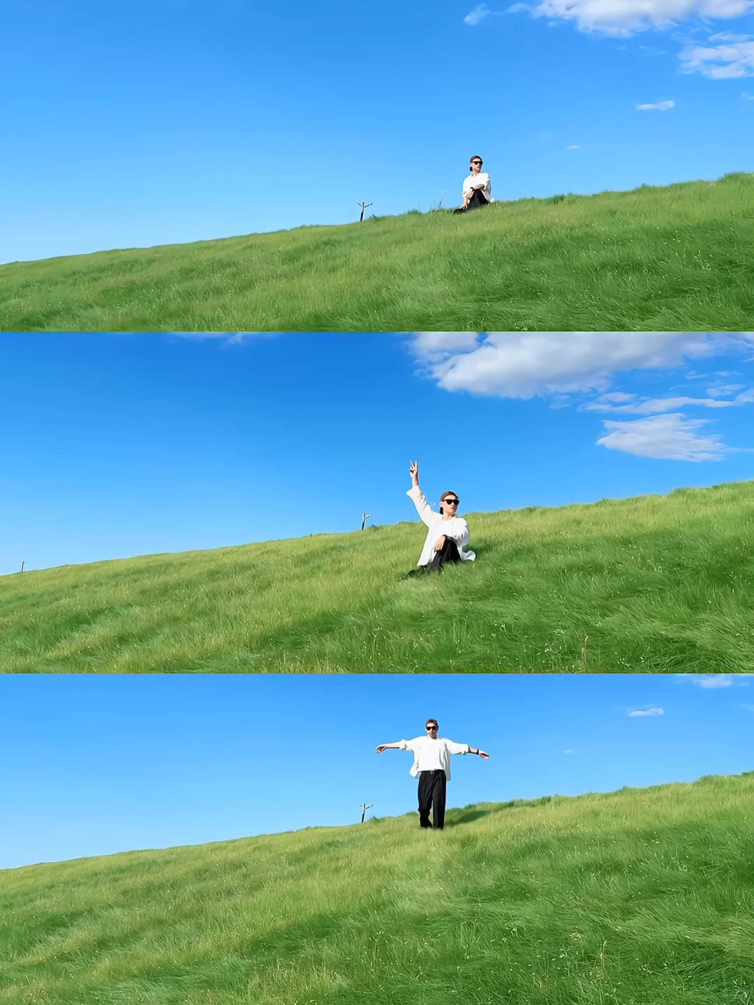 赵王城遗址公园|这片草坪太出片啦!敲治愈✅