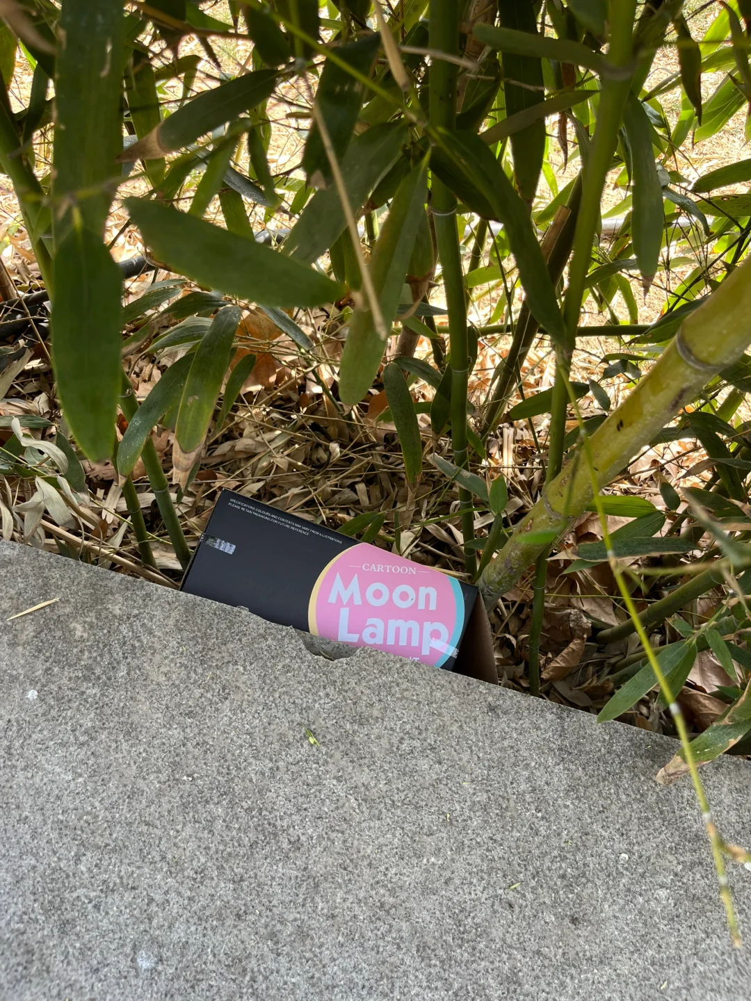 西工区隋唐洛阳城九洲池景区自取