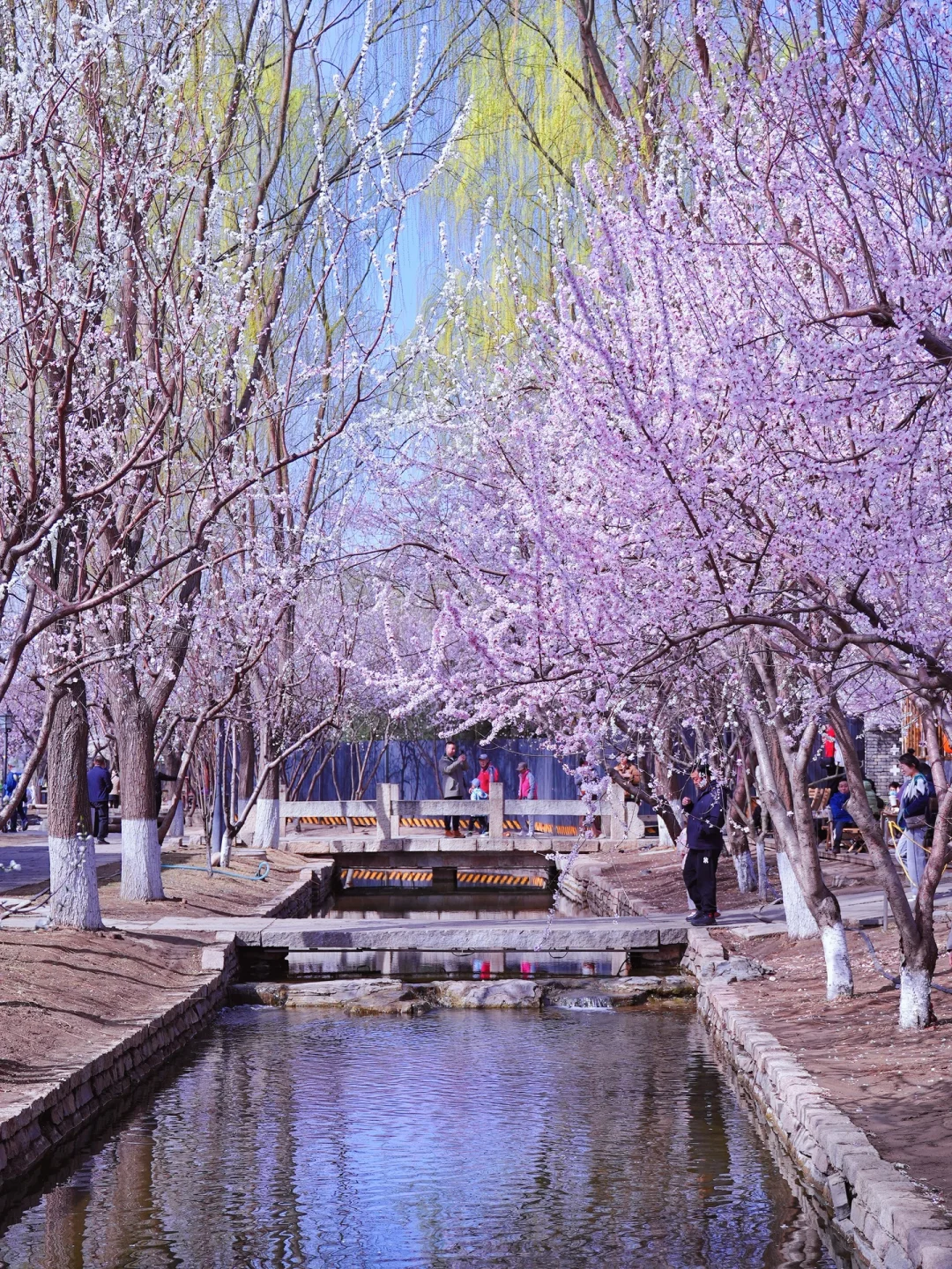 北京春天📍适合一个人逛一下午的地方…