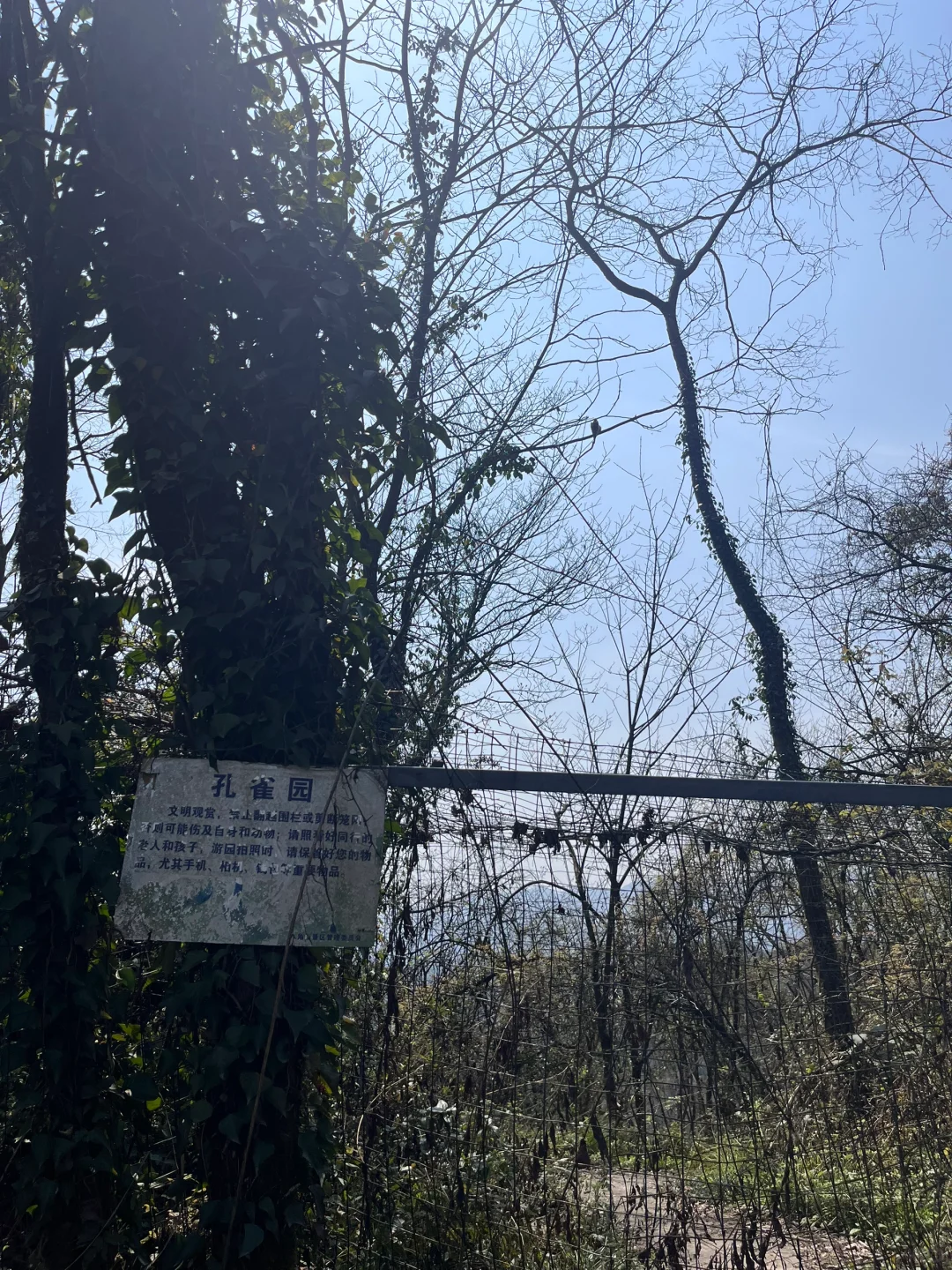 周边游|八角山景区