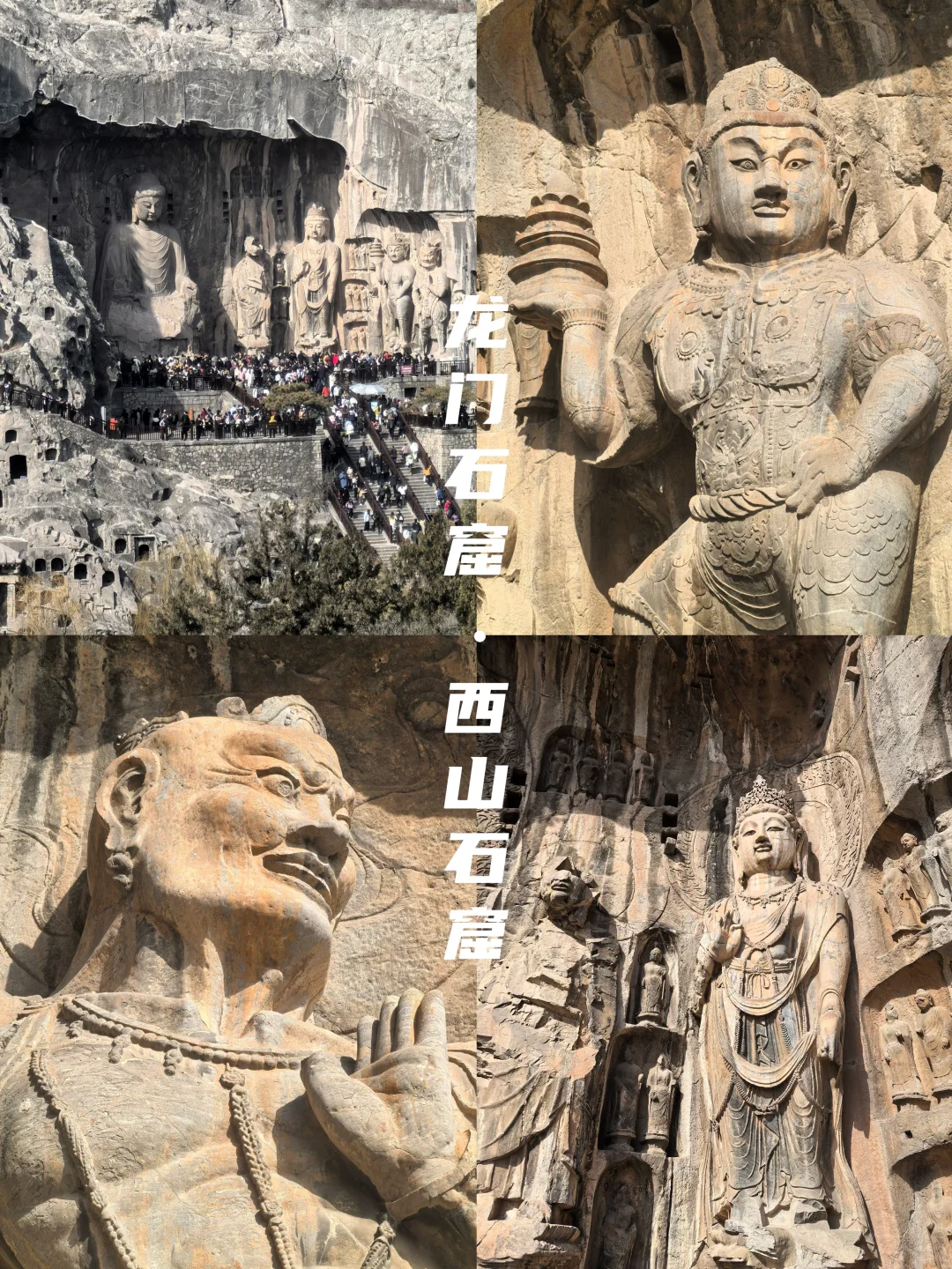 牡丹待放🌸｜洛阳还有这些地方穿越千年