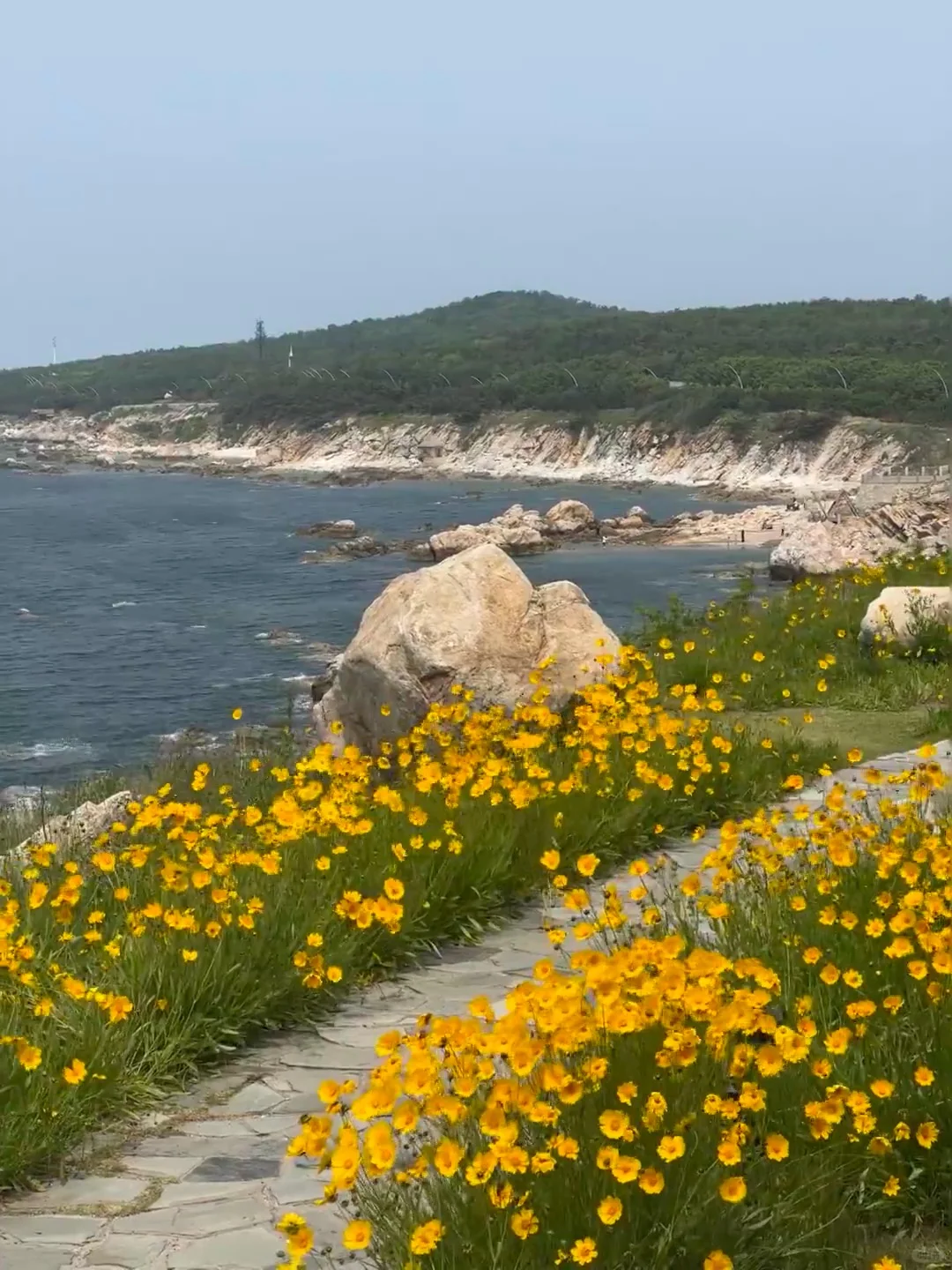 珠海3月景点红黑榜📍建议去🆚不建议去