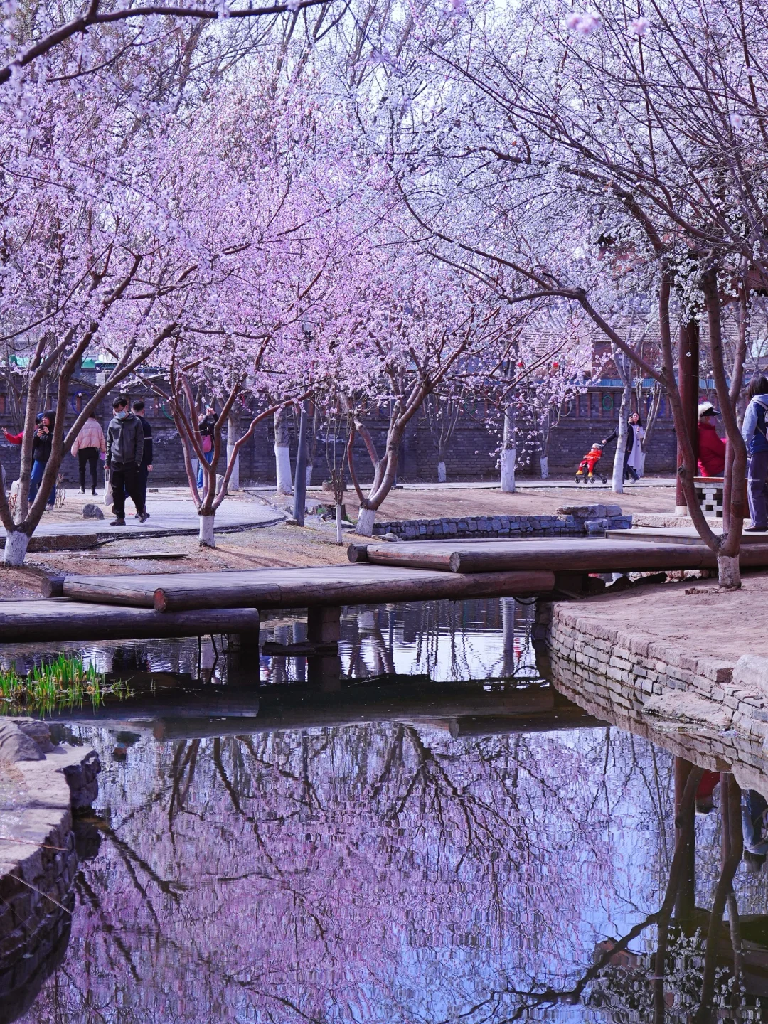 北京春天📍适合一个人逛一下午的地方…