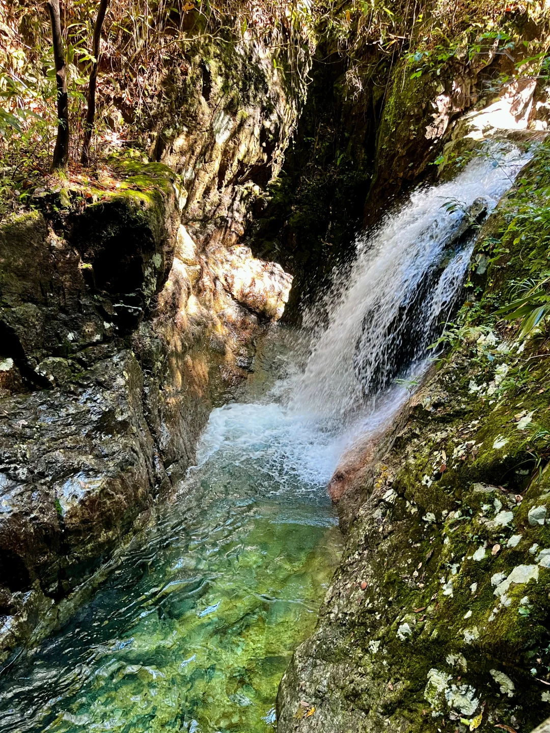 丽水秘境徒步｜阳光洒落 潭水如钻🍃🧊🫧