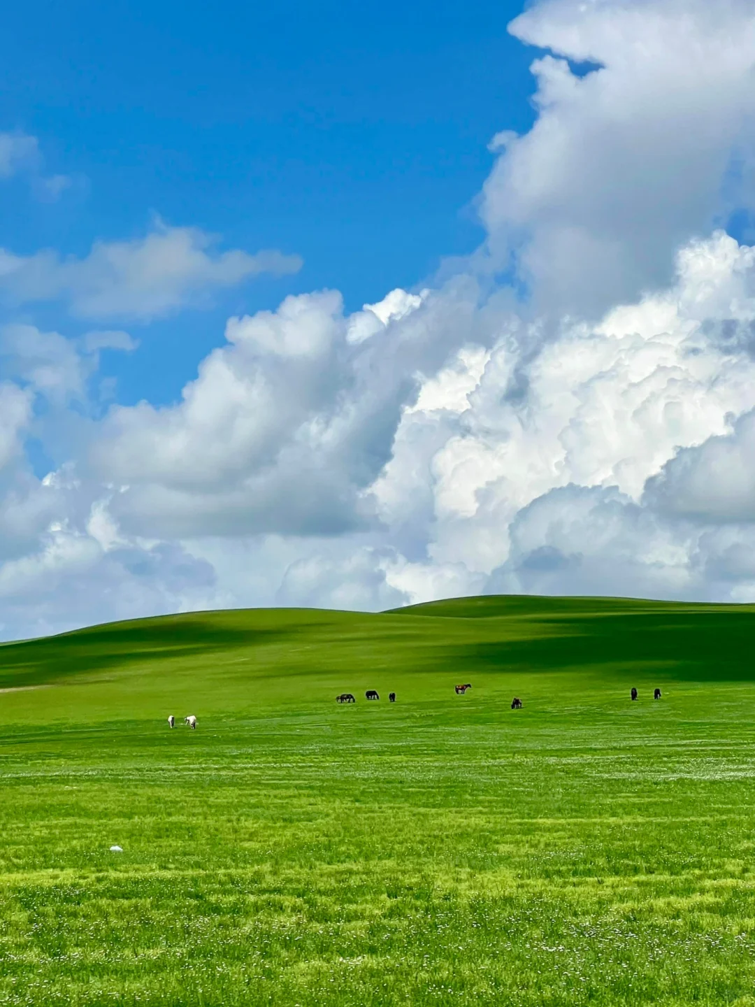 五一反向旅游！想安利1W次被低估的宝藏秘境