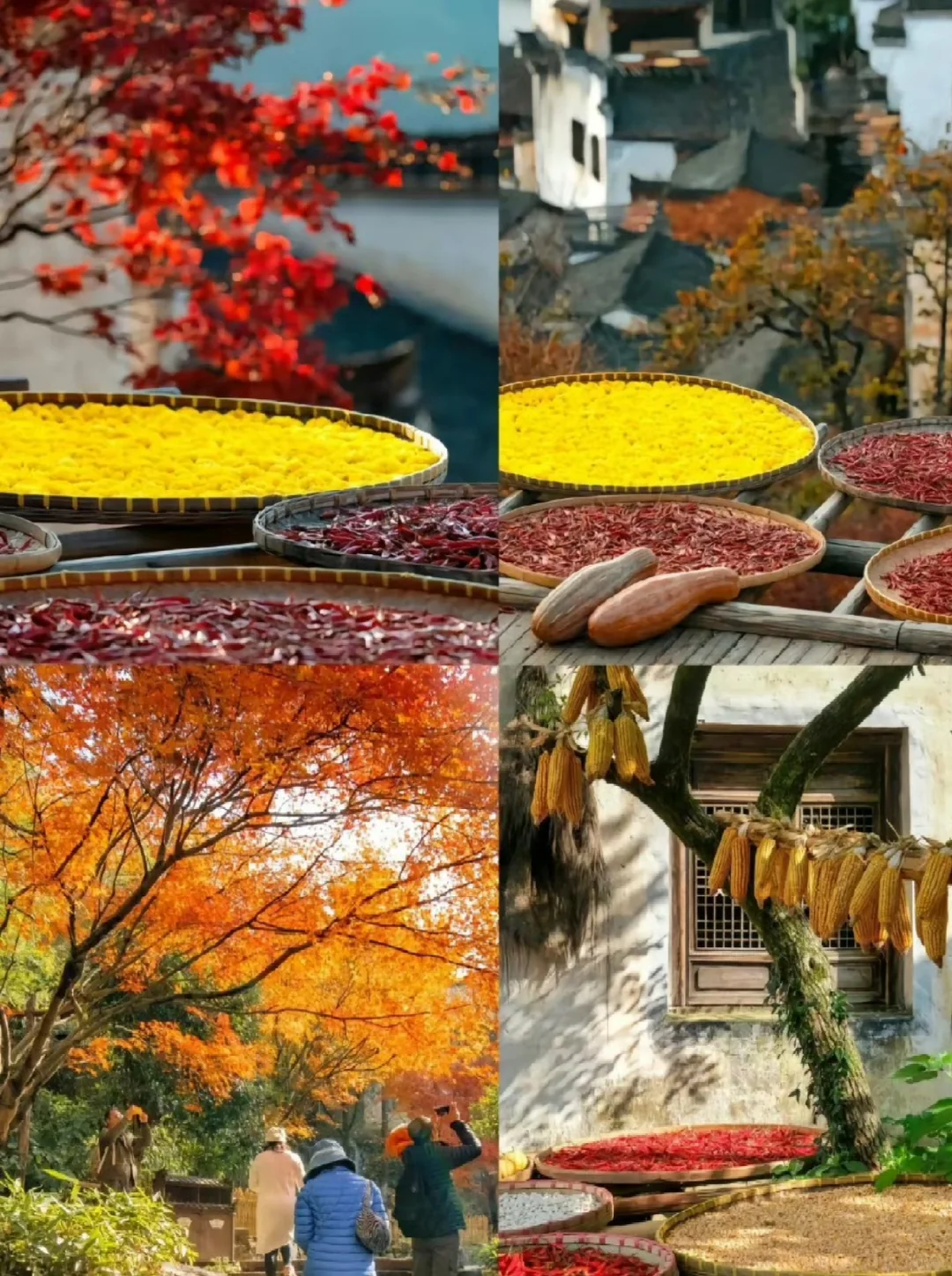 打工人清明就去这个宝藏旅行地