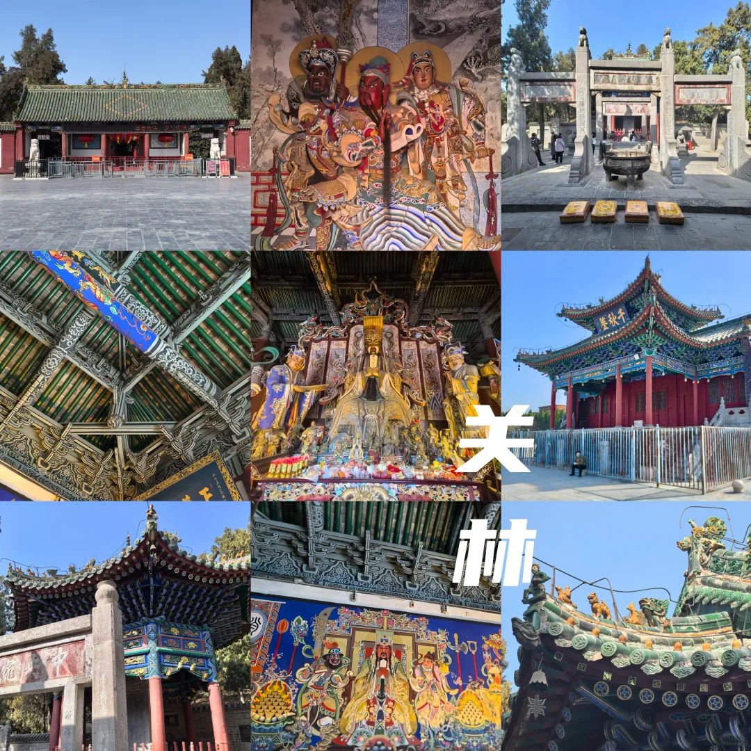 牡丹待放🌸｜洛阳还有这些地方穿越千年