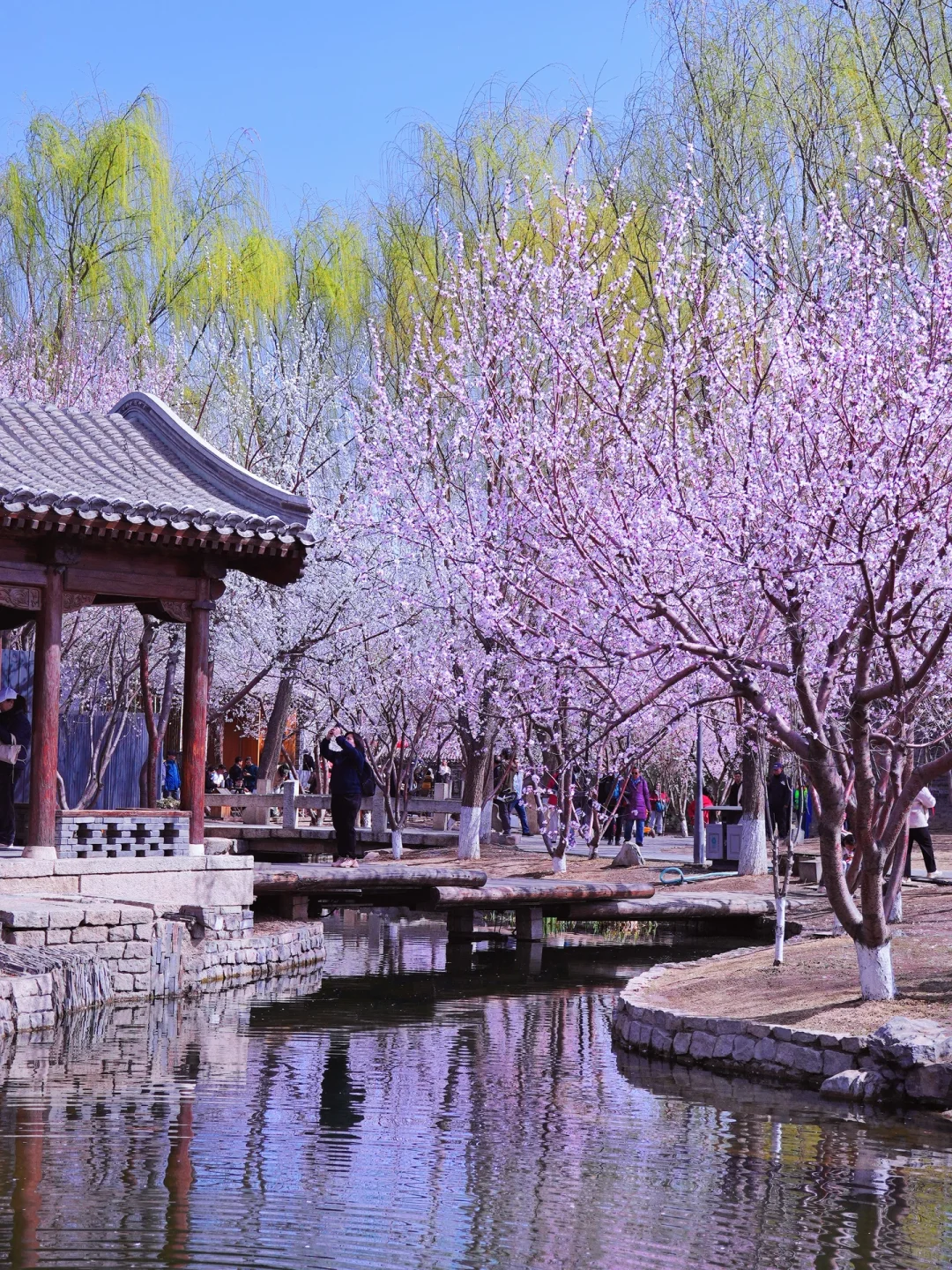 北京春天📍适合一个人逛一下午的地方…