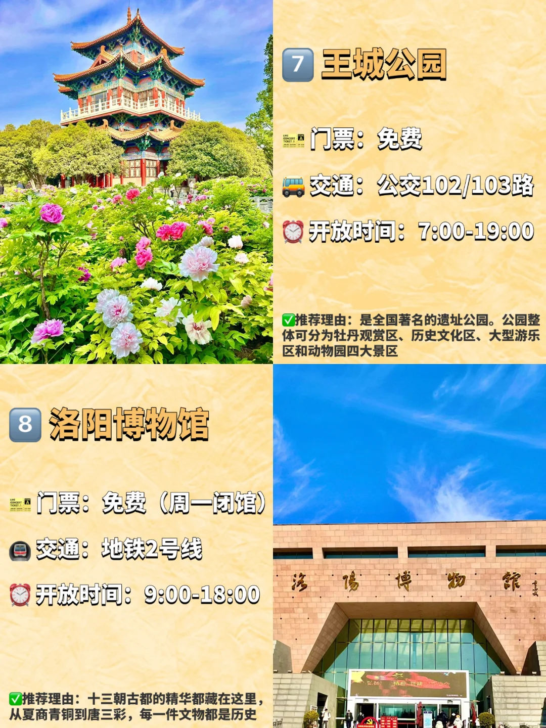 洛阳必去的九大景点❗️❗️旅游前必看❗️