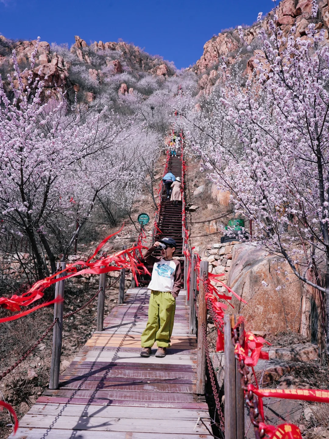 3.20实拍‼️封神级别的山花已盛放！快打卡