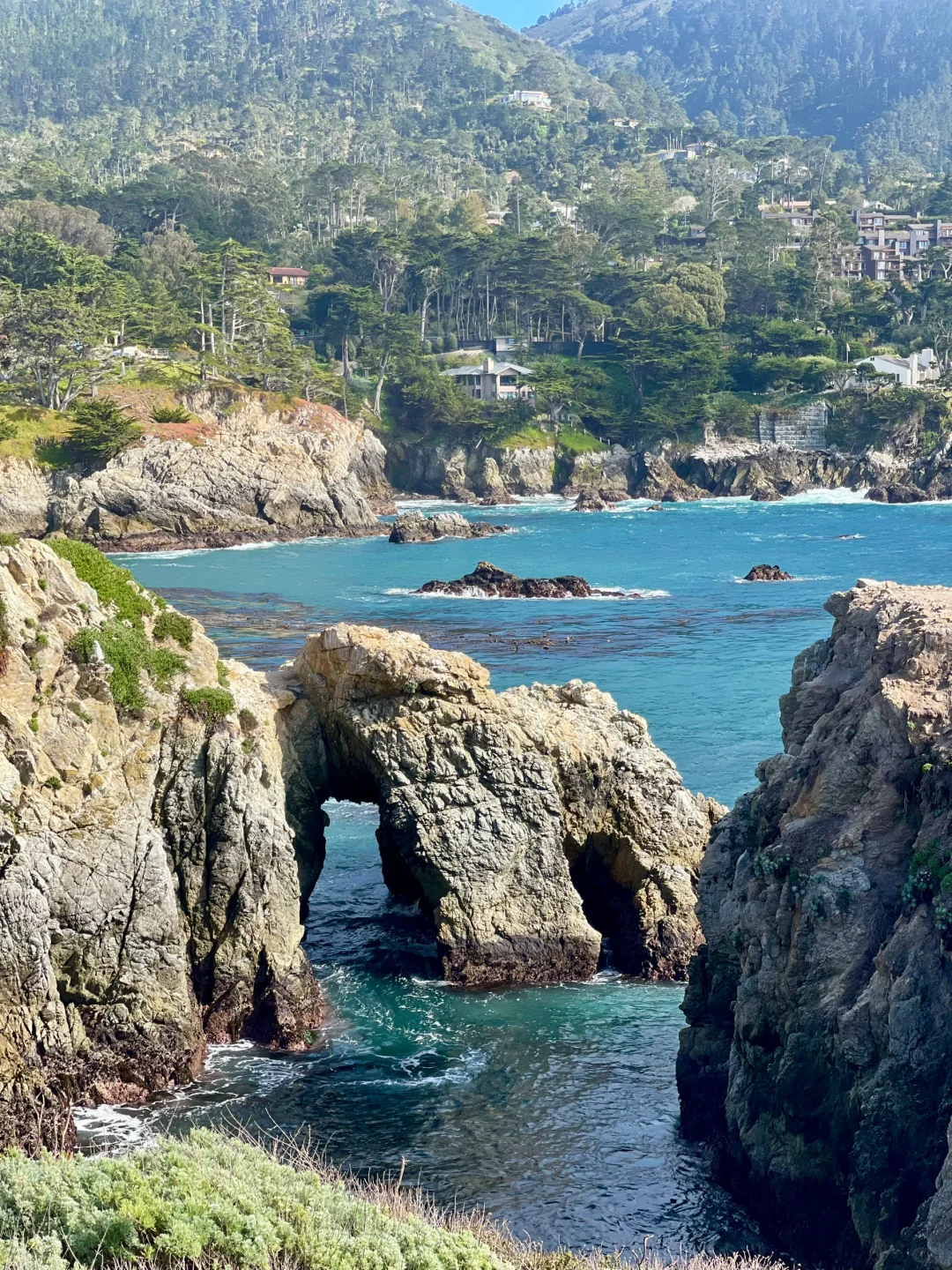 加州平替Hawaii 都给我去Carmel！附超强攻略