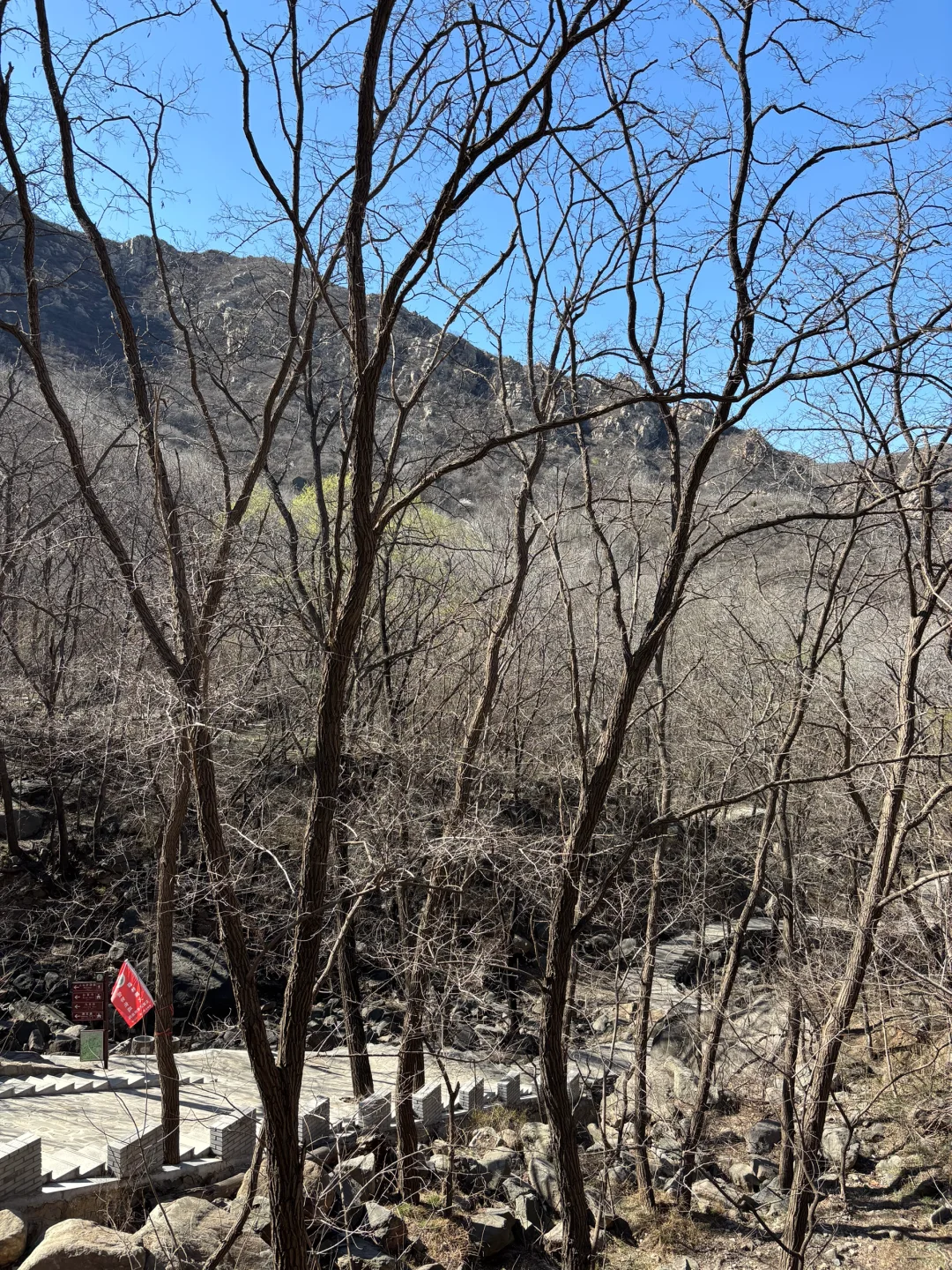 带着宝宝👶上春山⛰️⛰️🏔️🗻