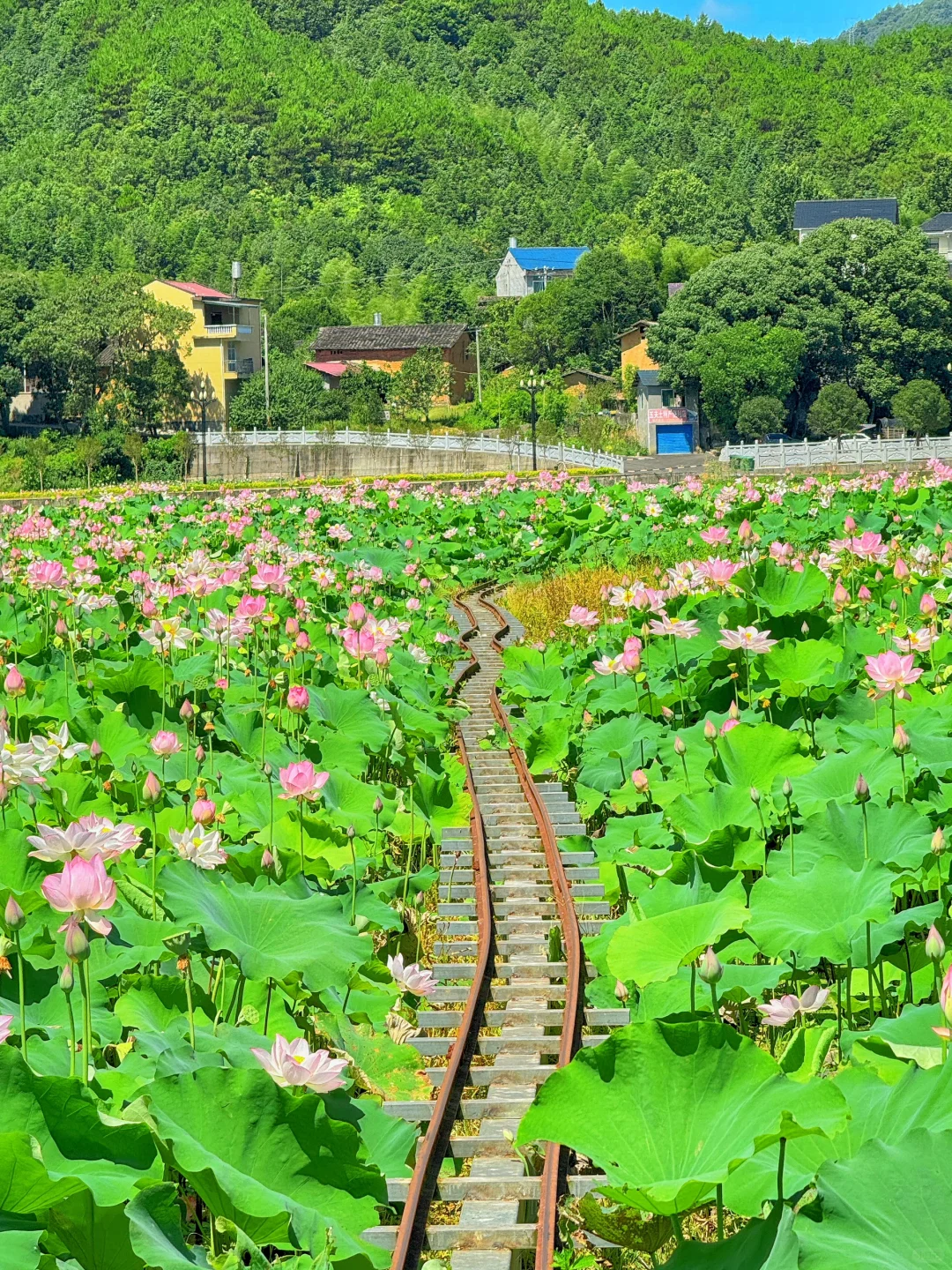 本以为西湖已经够美了，直到来了这里…………