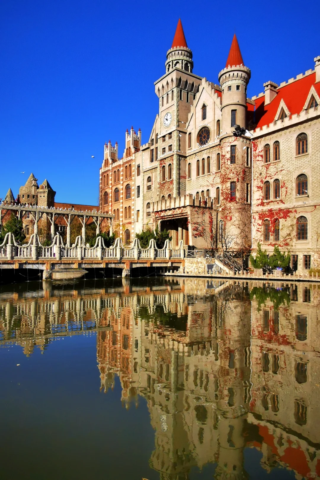 打卡天津254：惊艳的中华石园🌺