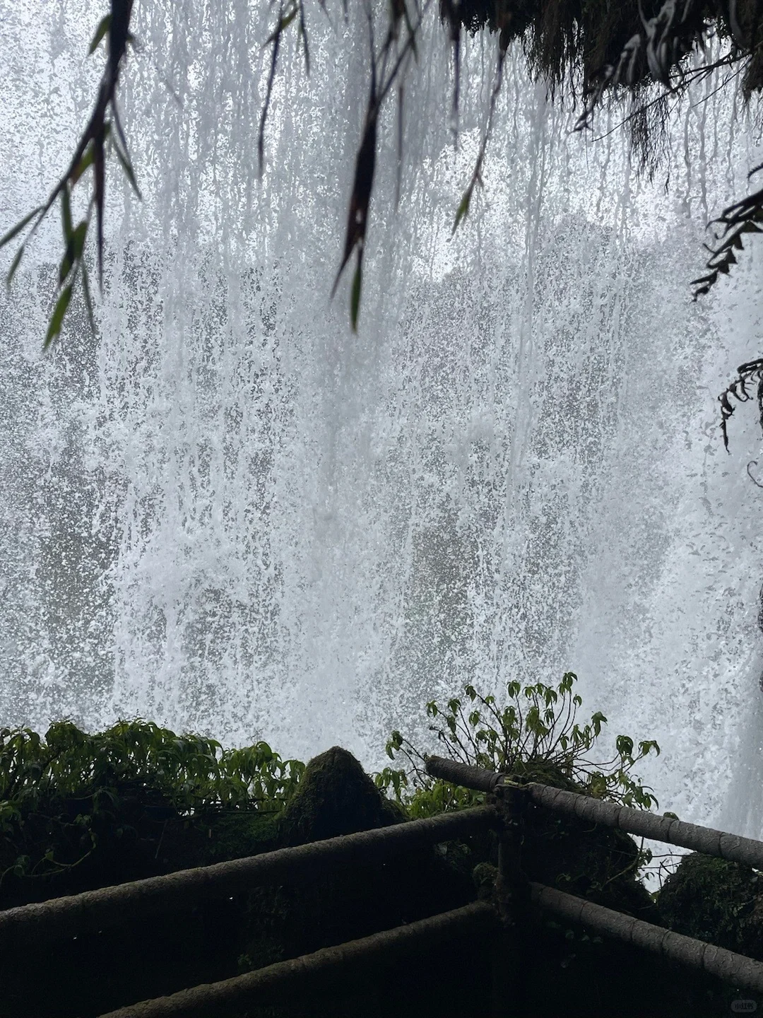 3.12📍黄果树瀑布live实况，真心提醒来的😅…