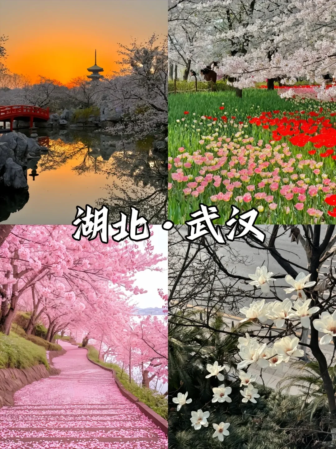 赏花漫游🖼️适合春季旅游的9️⃣座城市