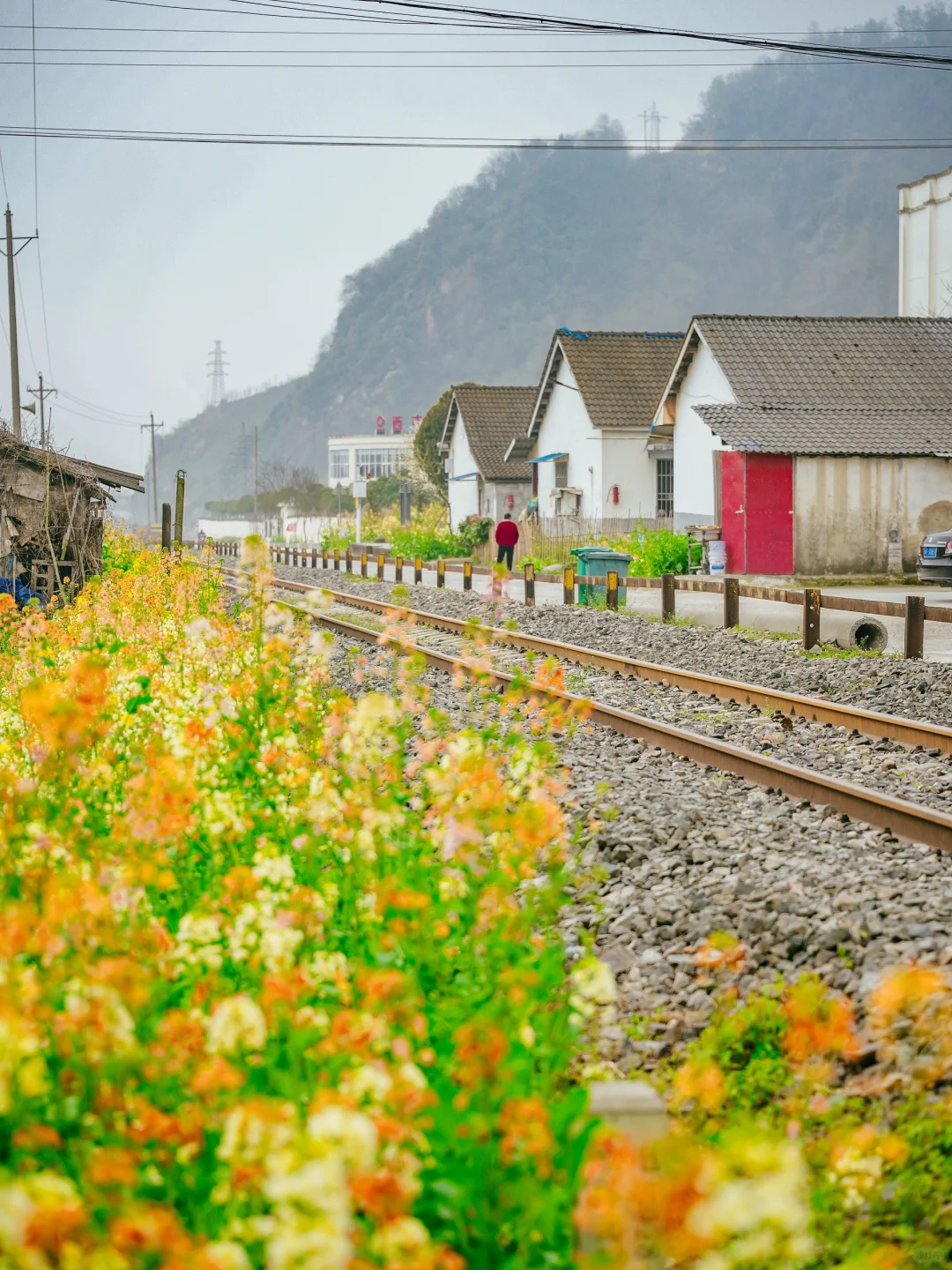 在成都周边！！我唯一想去无数次的徒步路线！！