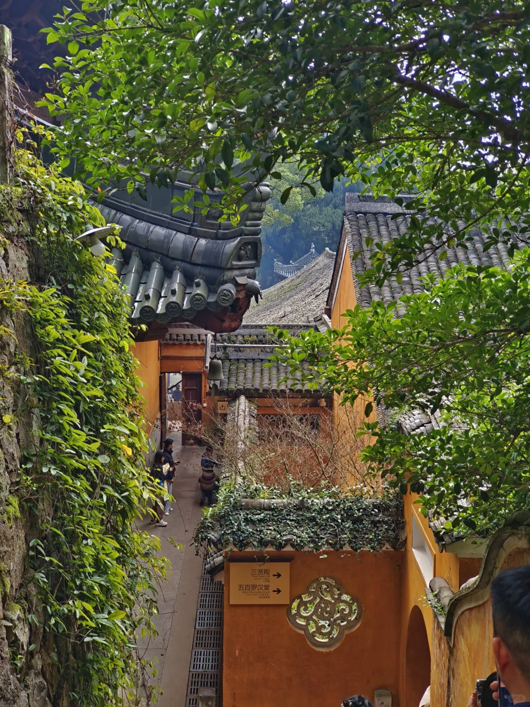 上海出发特种兵一日游之上春山👣