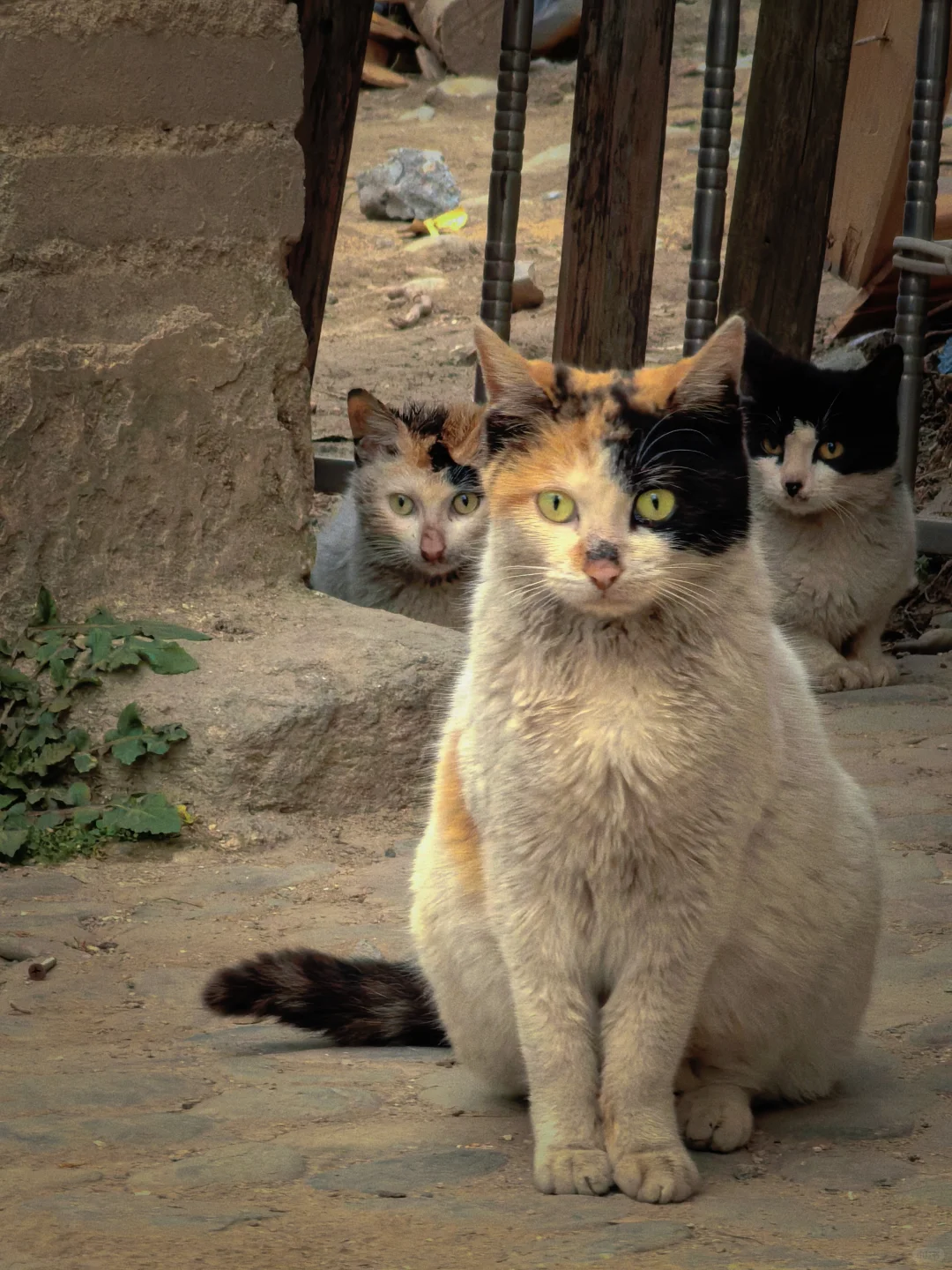 皖南三月·烟雨徽州