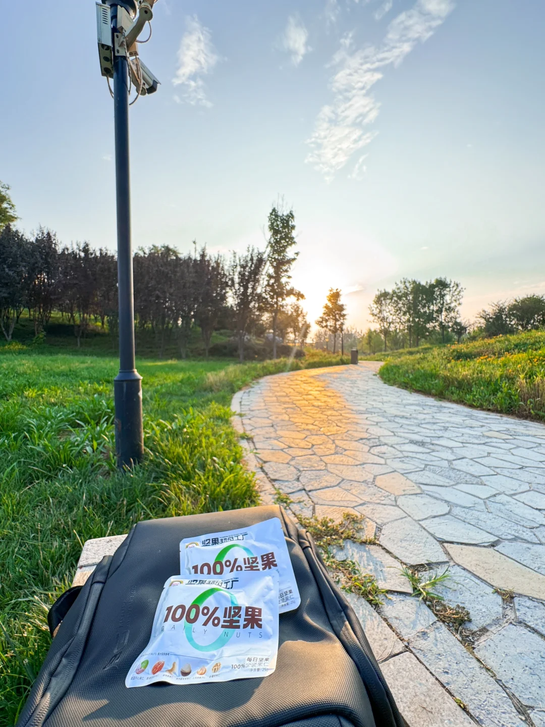 公园20分钟效应·邯郸植物园带来的松弛感🌲
