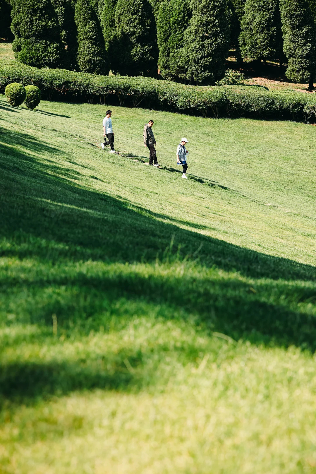 很期待接下来的春天/大连童牛岭