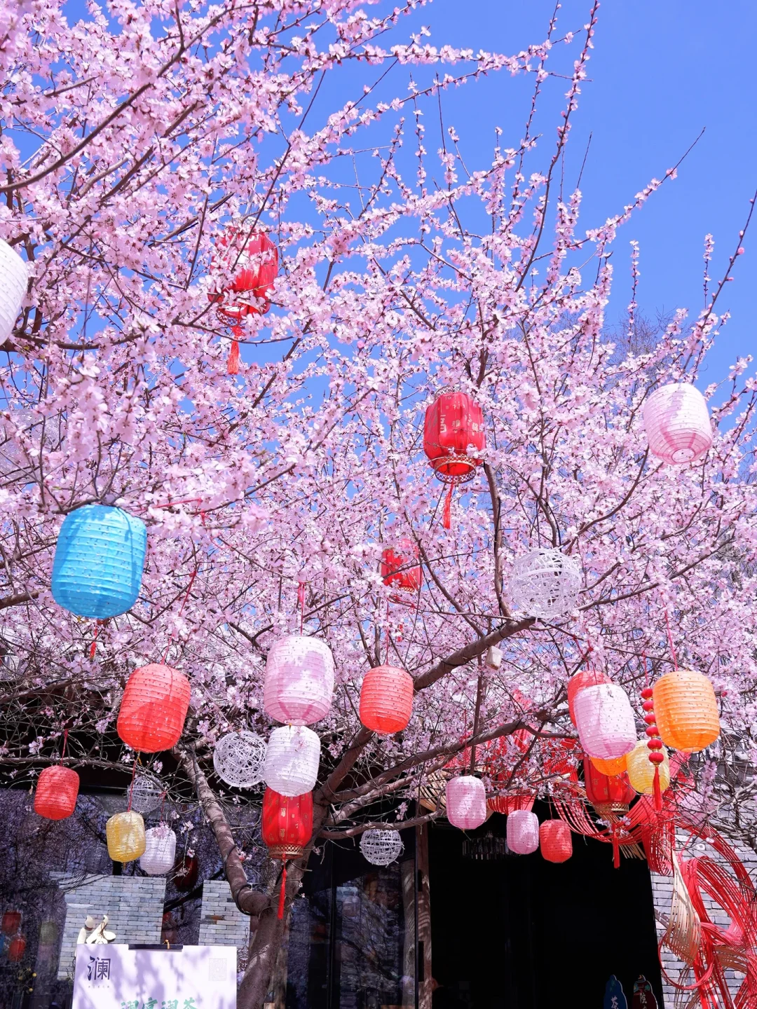 北京春天📍适合一个人逛一下午的地方…